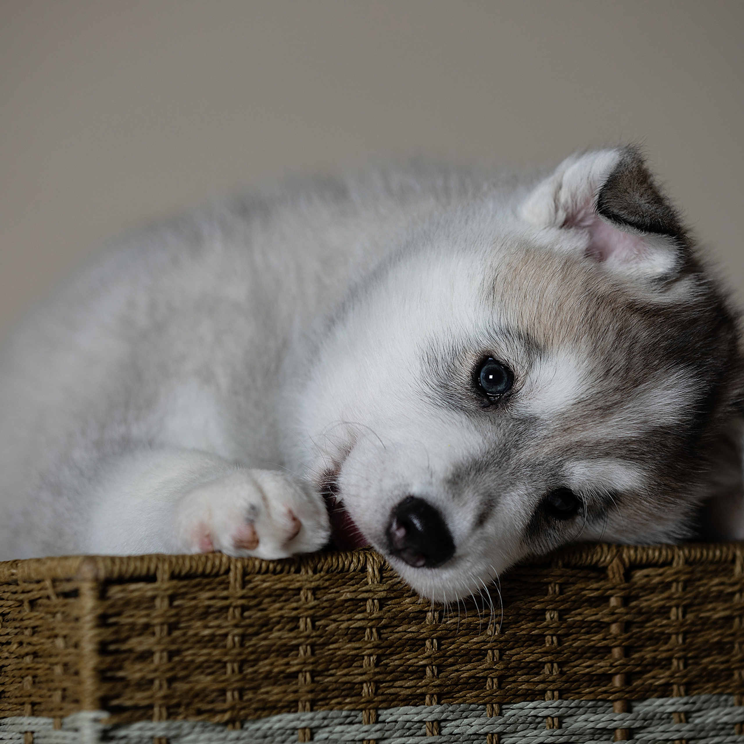 Отзывы. Фотограф в Москве Даша Зуева