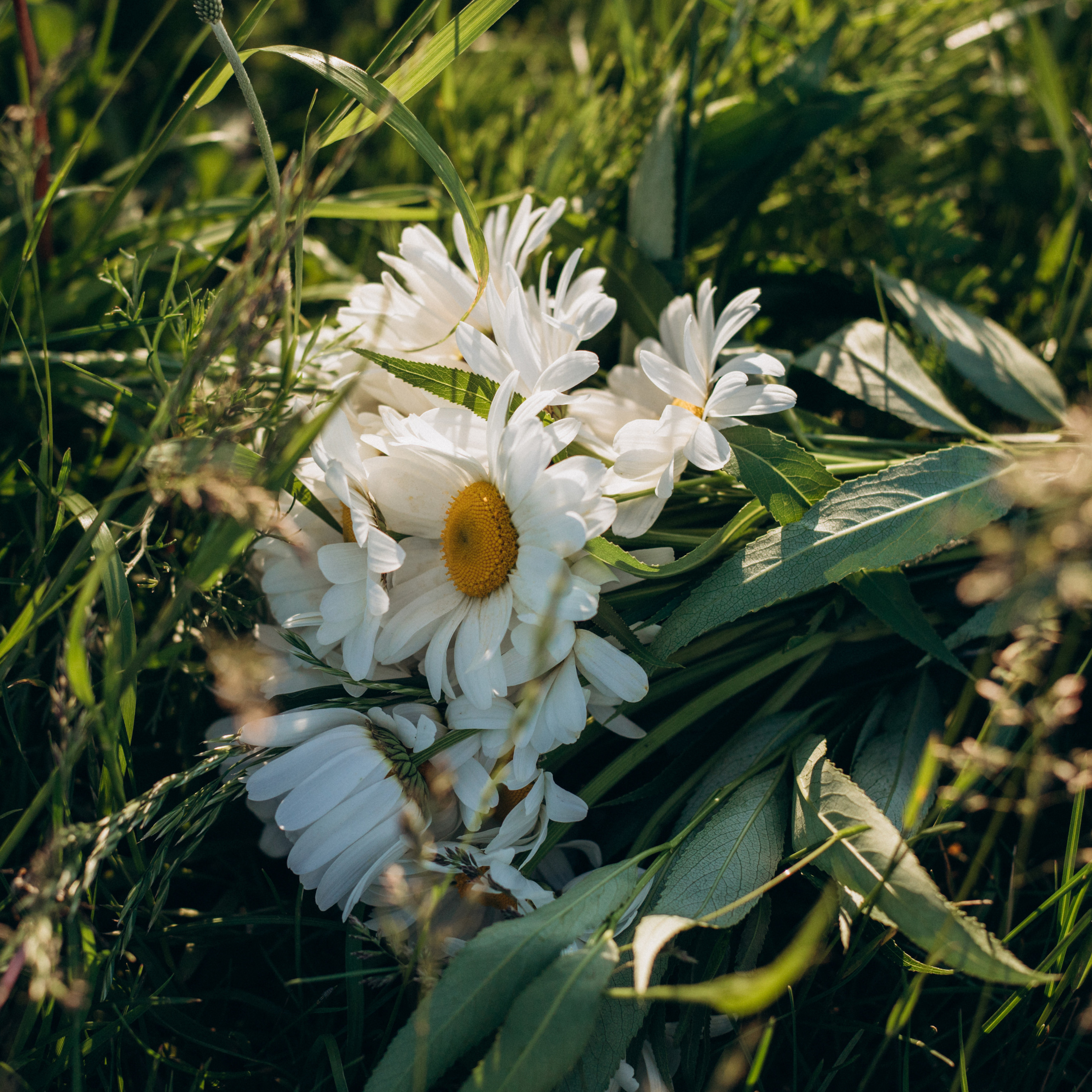 Отзывы. Семейный фотограф в Москве