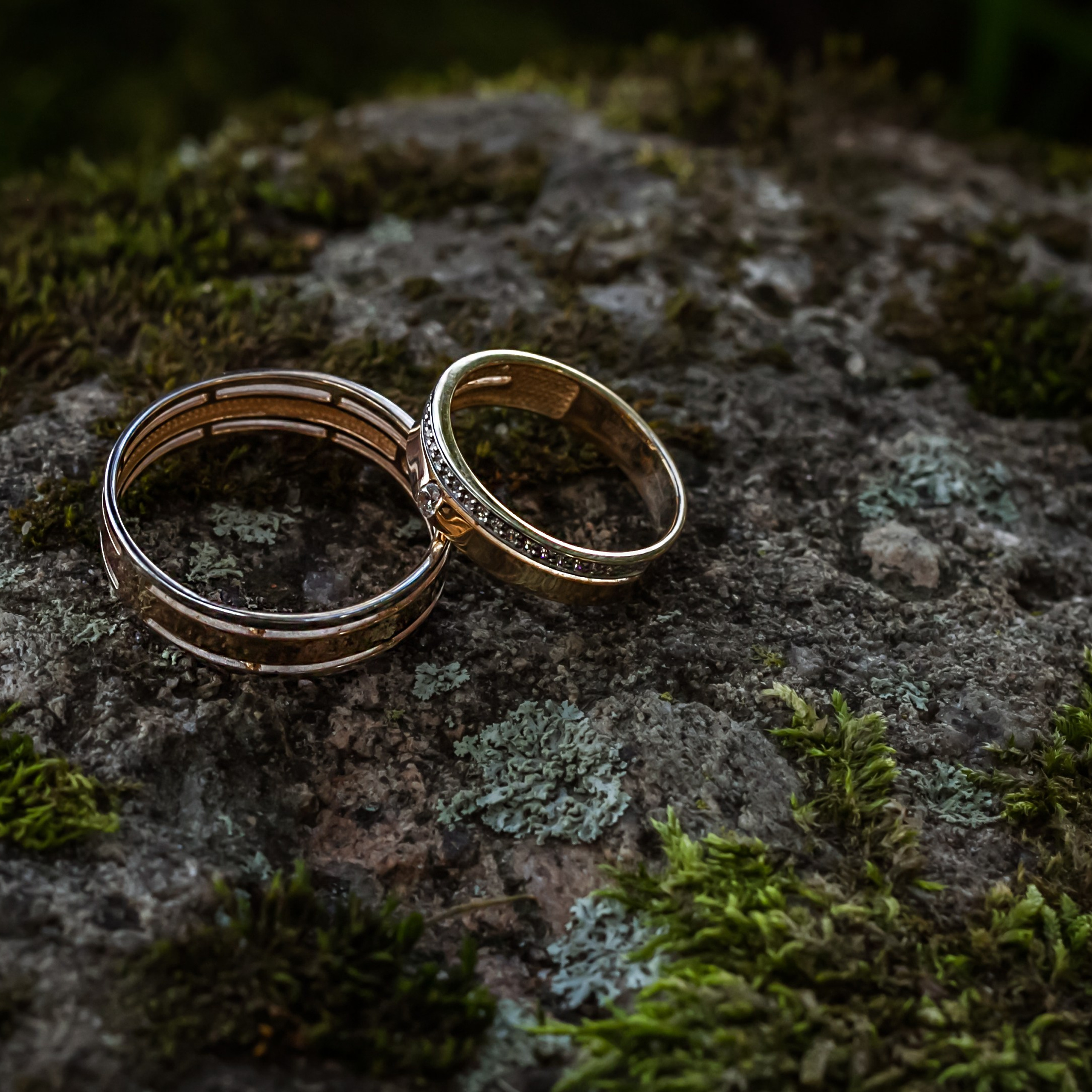 Регистрация в Петергофе, прогулка на метеоре. Елизавета и Роман.