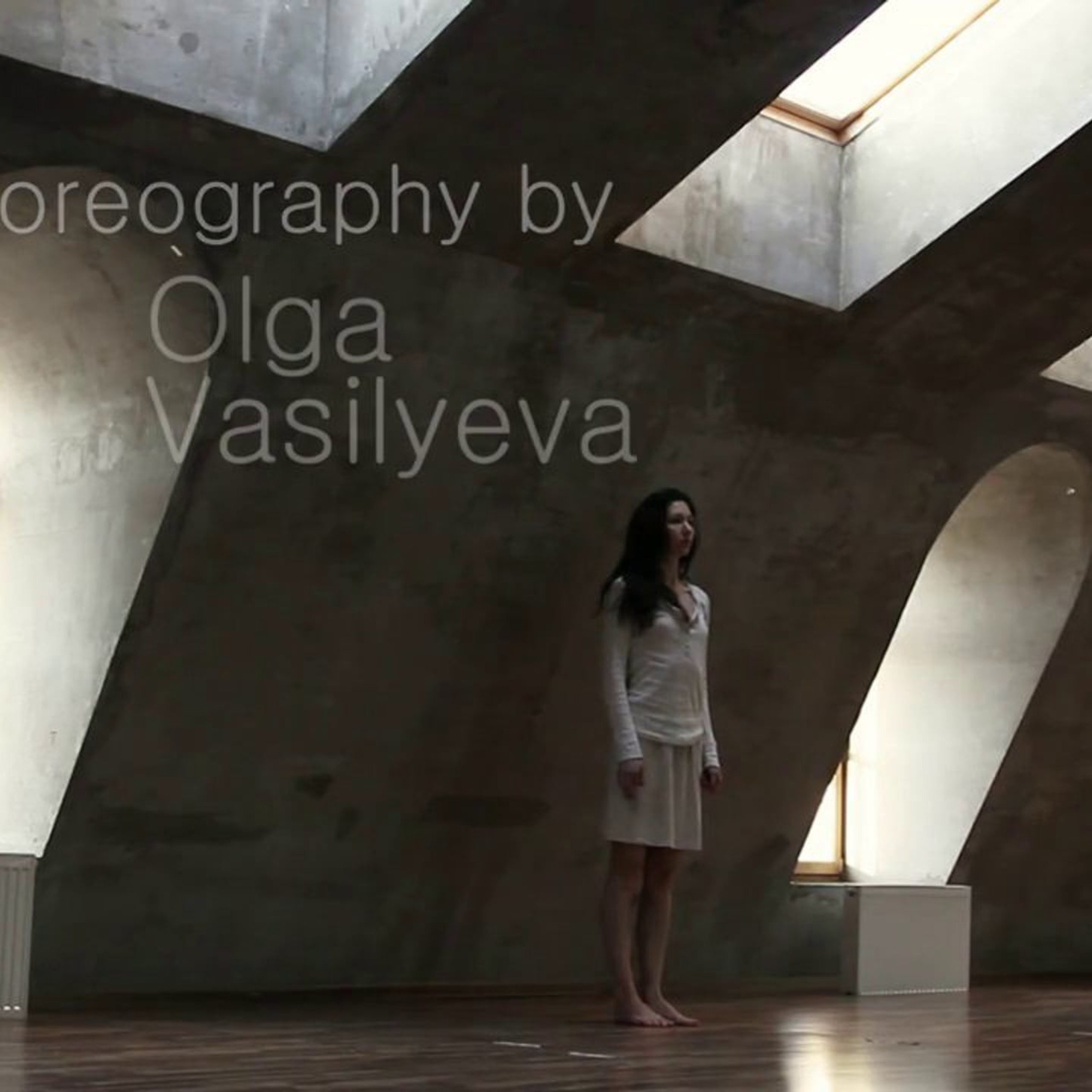 Video. Фотограф и видеограф Валерия Лисауске