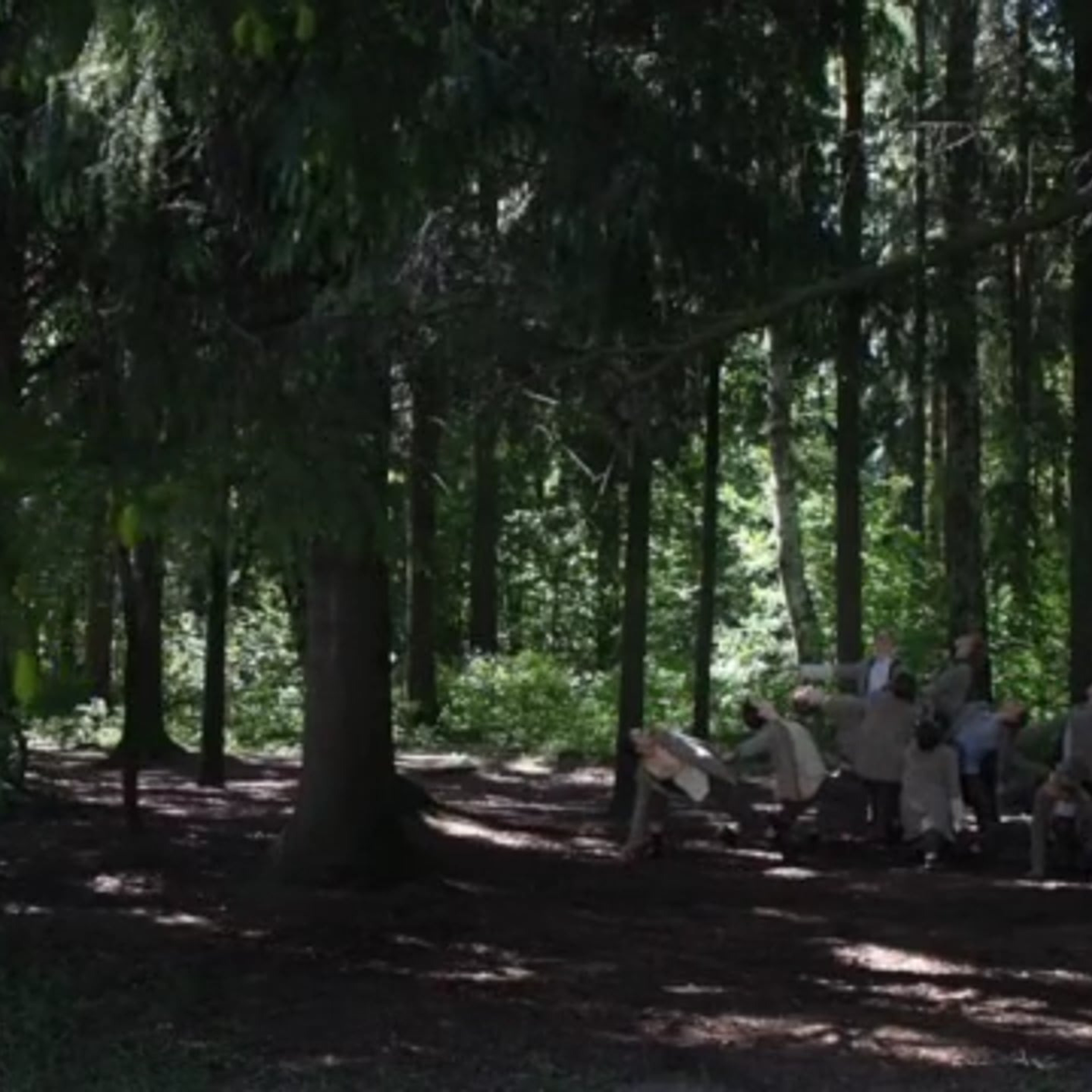 Video. Фотограф и видеограф Валерия Лисауске