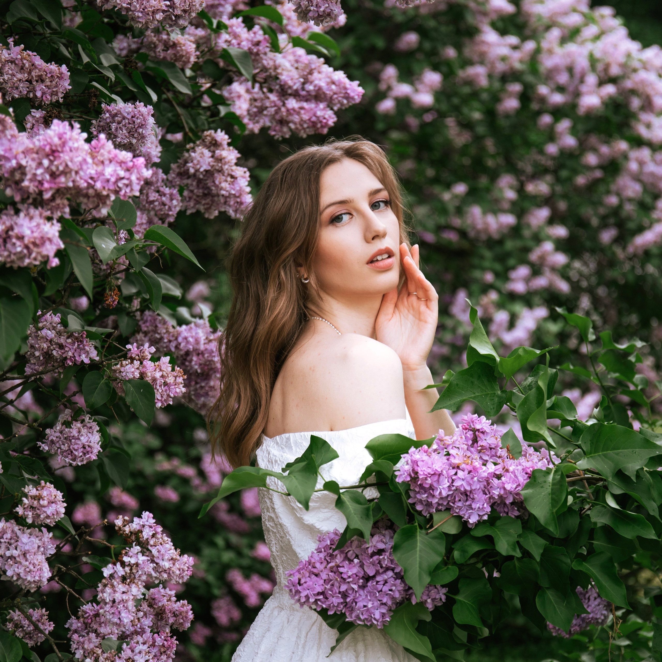 Цветение сирени