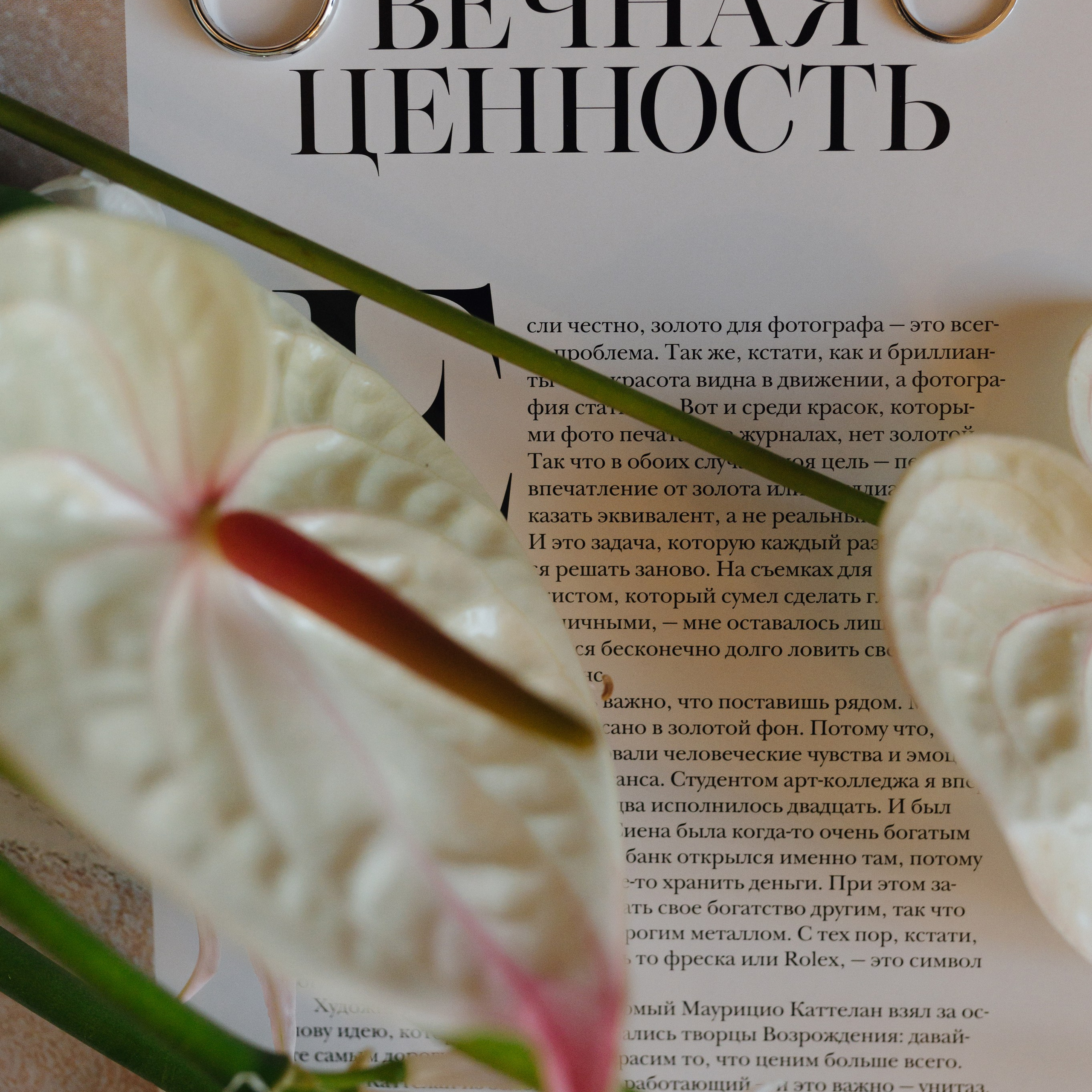 Екатерина и Фёдор, Грибоедовский ЗАГС, Отель Балчуг Кемпински