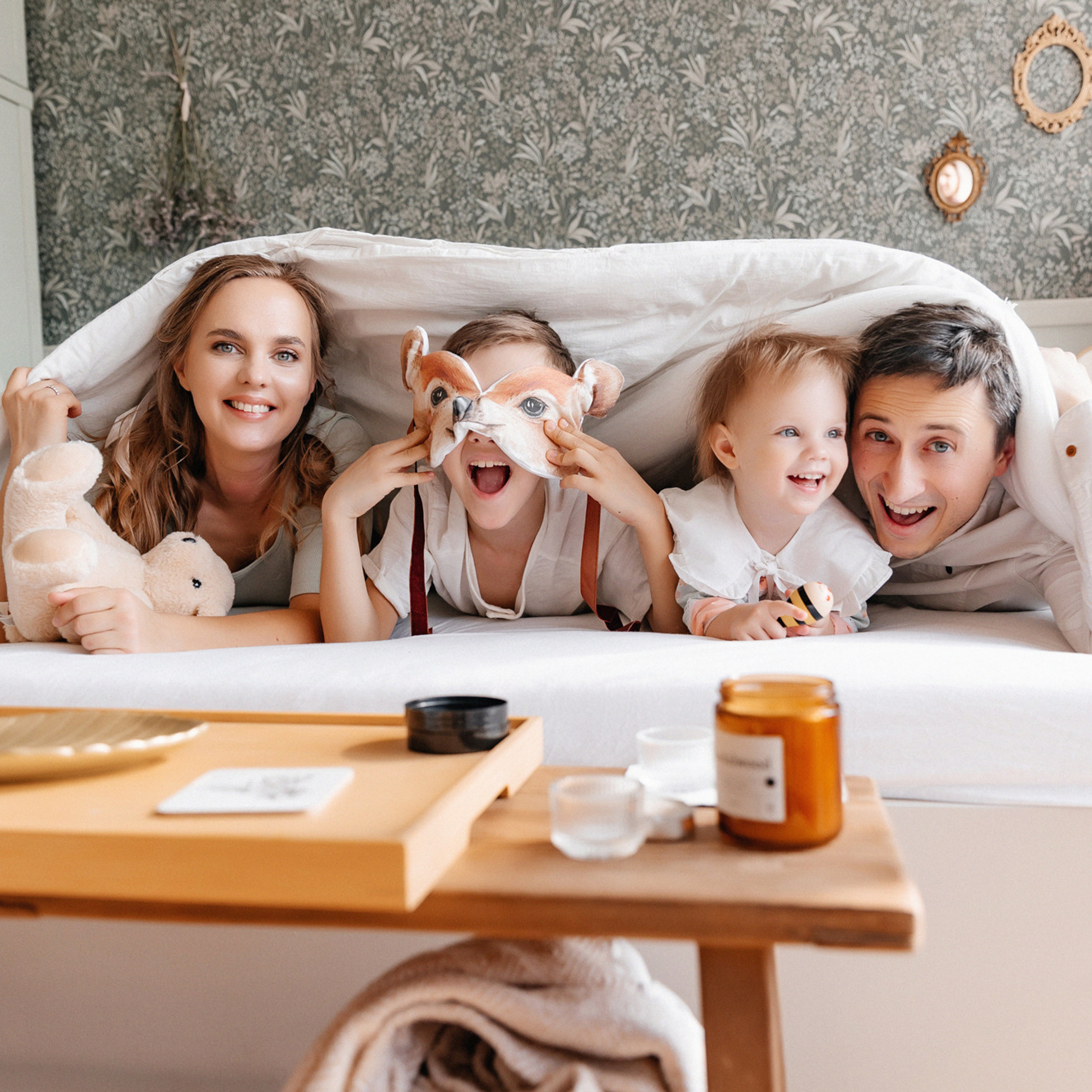 Домашняя история