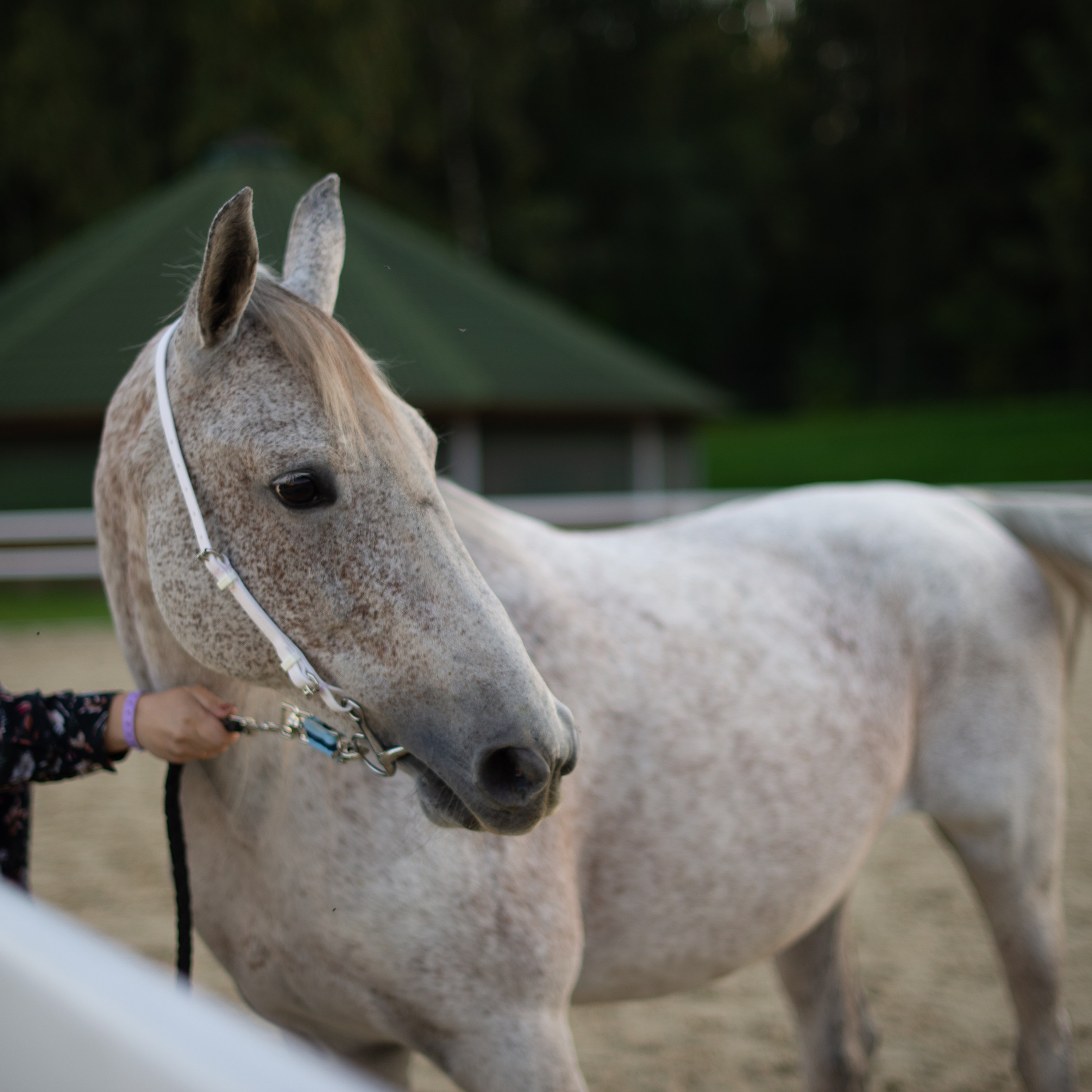Отзывы. Victoria Radjevna Репортажный Fashion Фотограф- Видеограф Санкт-Петербурга и Москвы