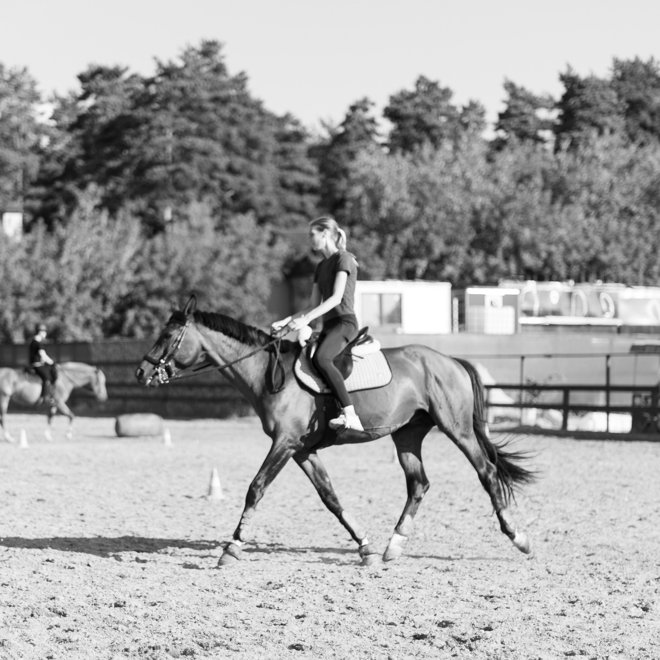 Анималистика Конный клуб ЧБ