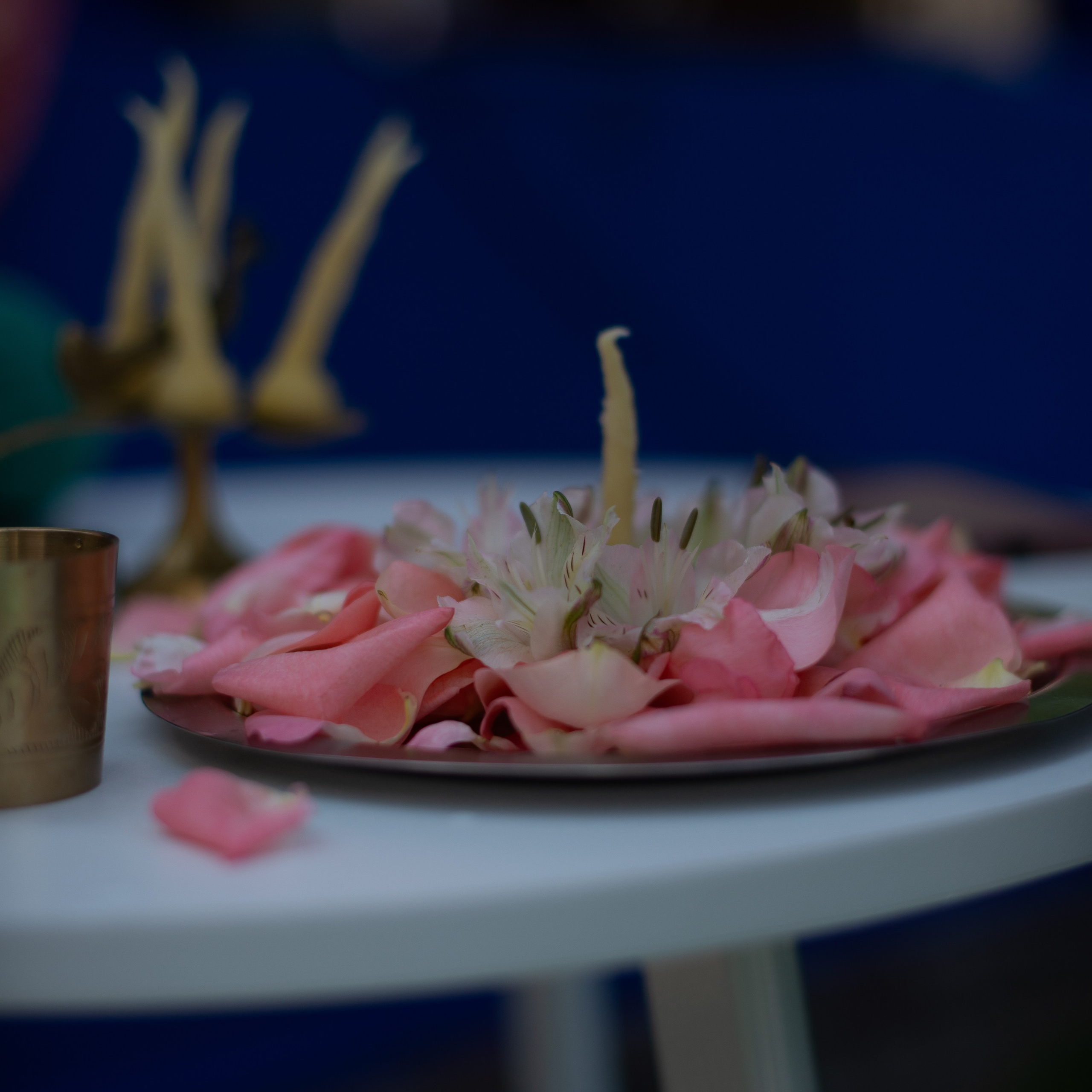 День Йоги Санкт- Петербург 2025