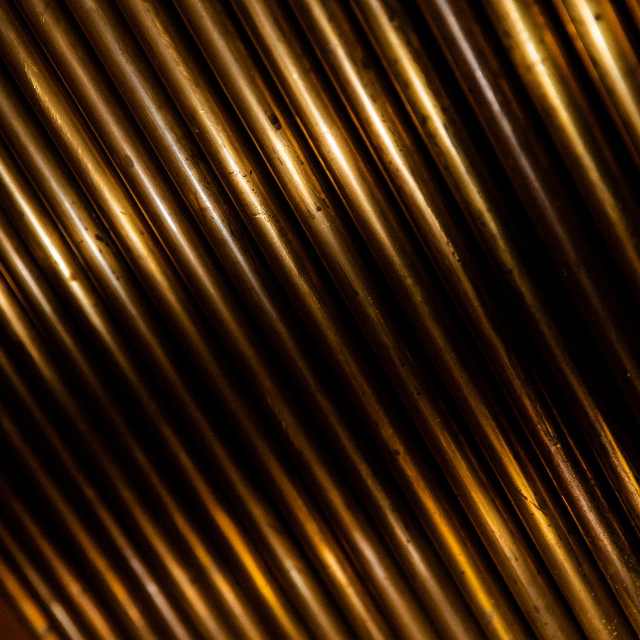 Отзывы. Свадебный и семейный фотограф в Санкт- Петербурге