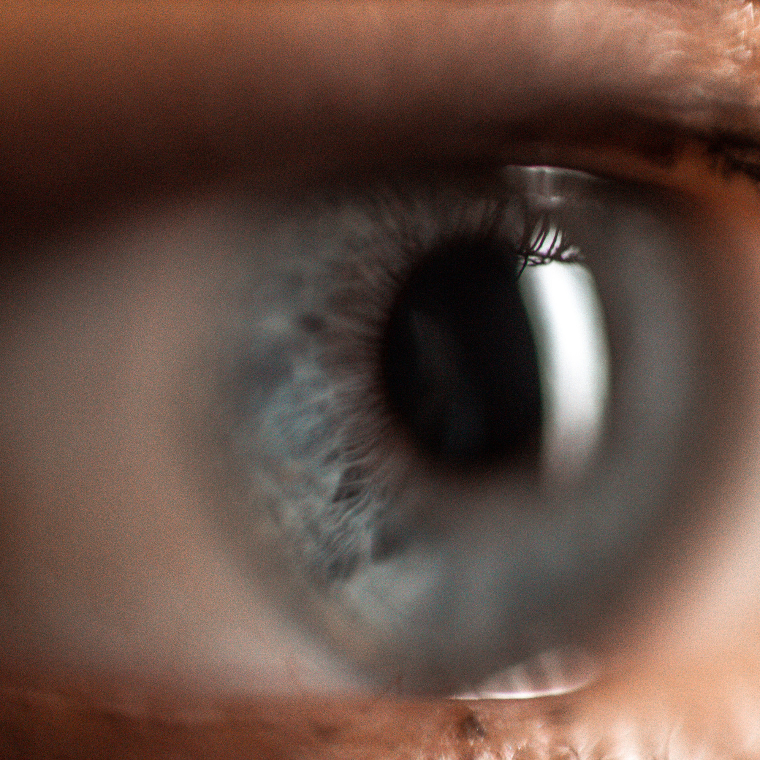 Отзывы. Свадебный и семейный фотограф в Санкт- Петербурге