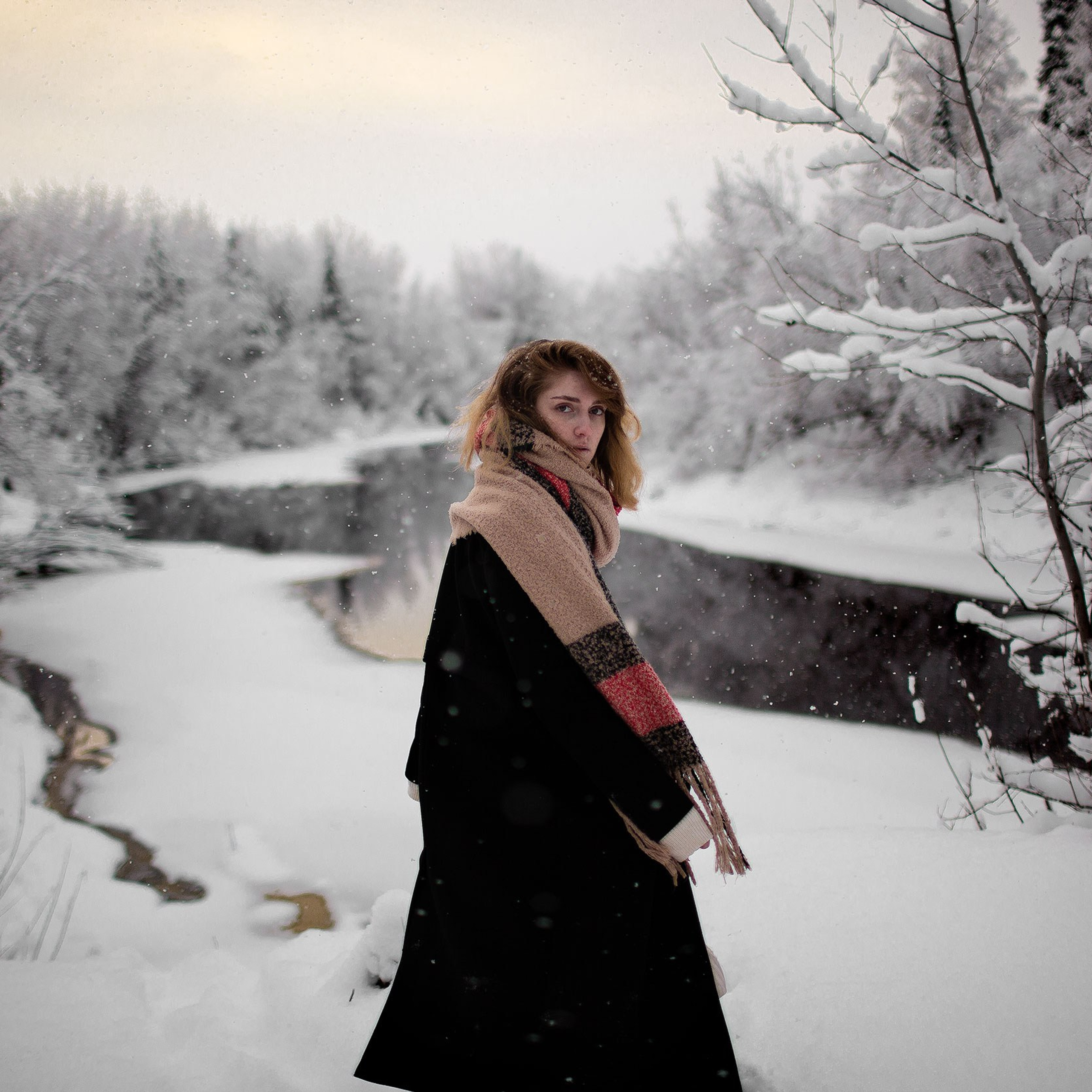 Winter fairy tale