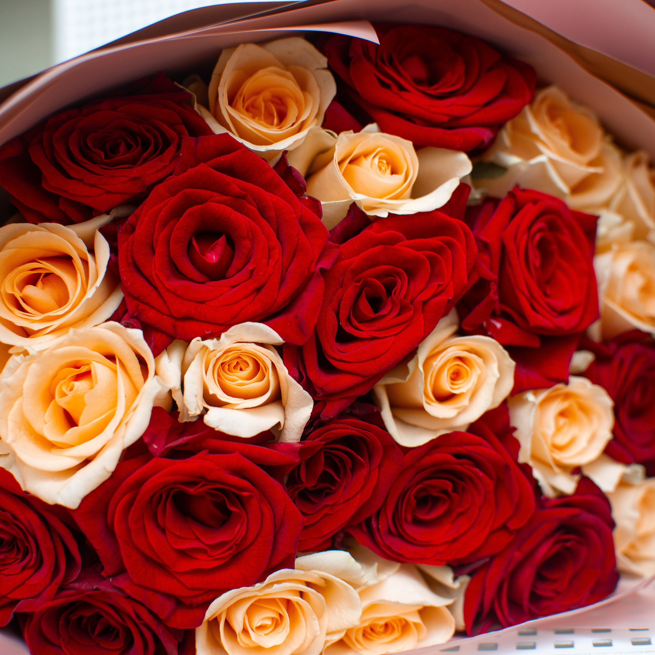 Отзывы. Семейный фотограф на выписку из роддома и крещение Минск Настя Гришук