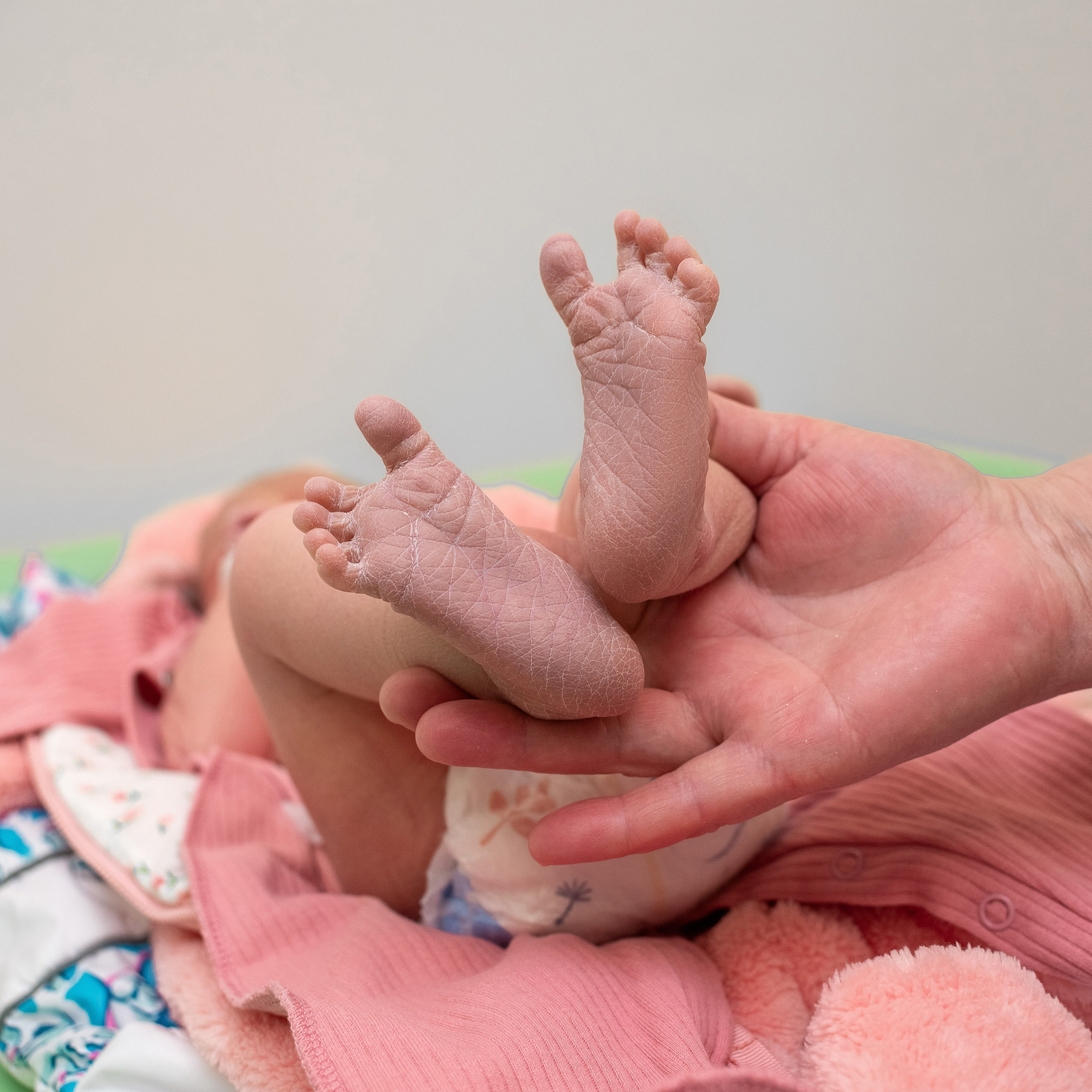 Выписка Мелании 5 РД