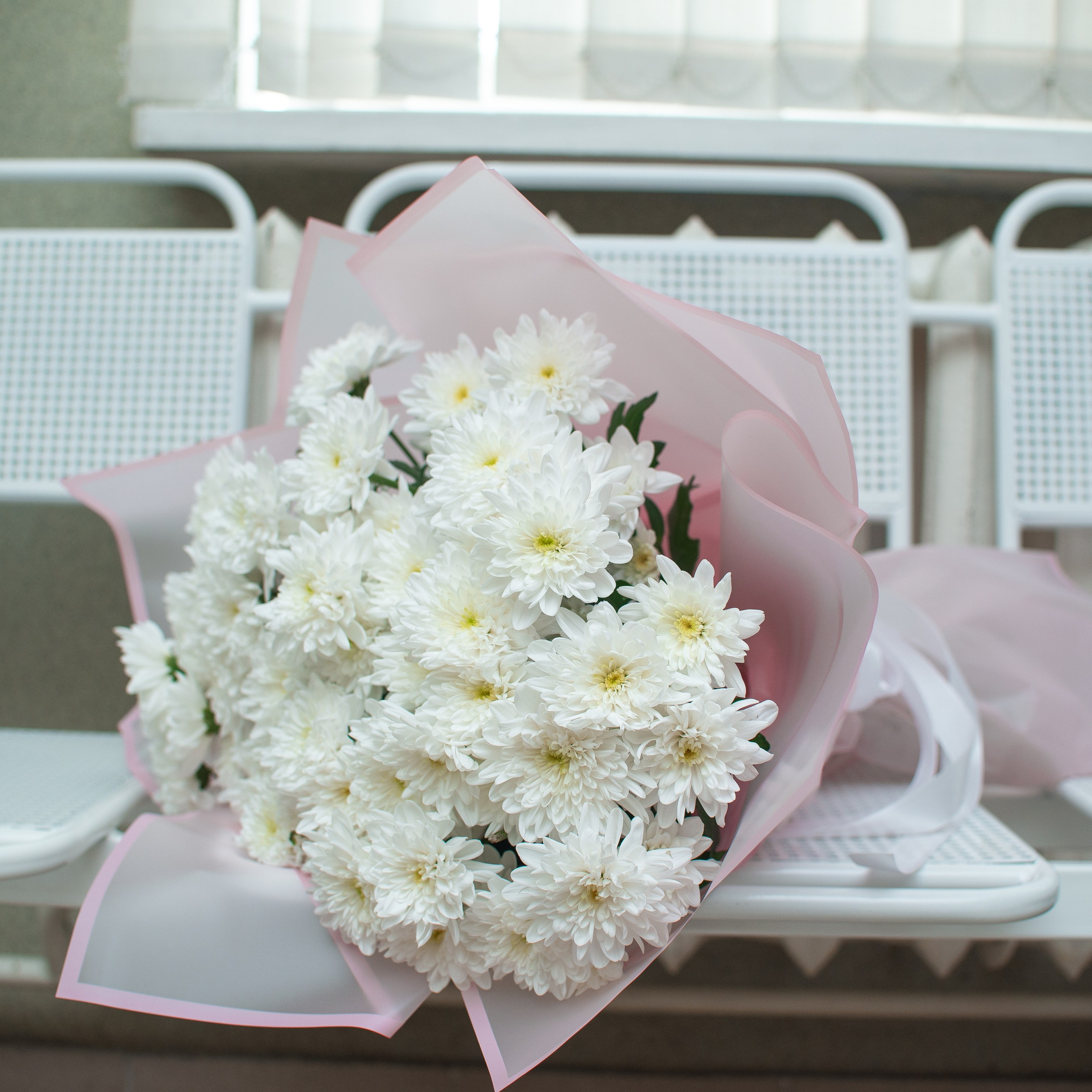 Отзывы. Семейный фотограф на выписку из роддома и крещение Минск Настя Гришук