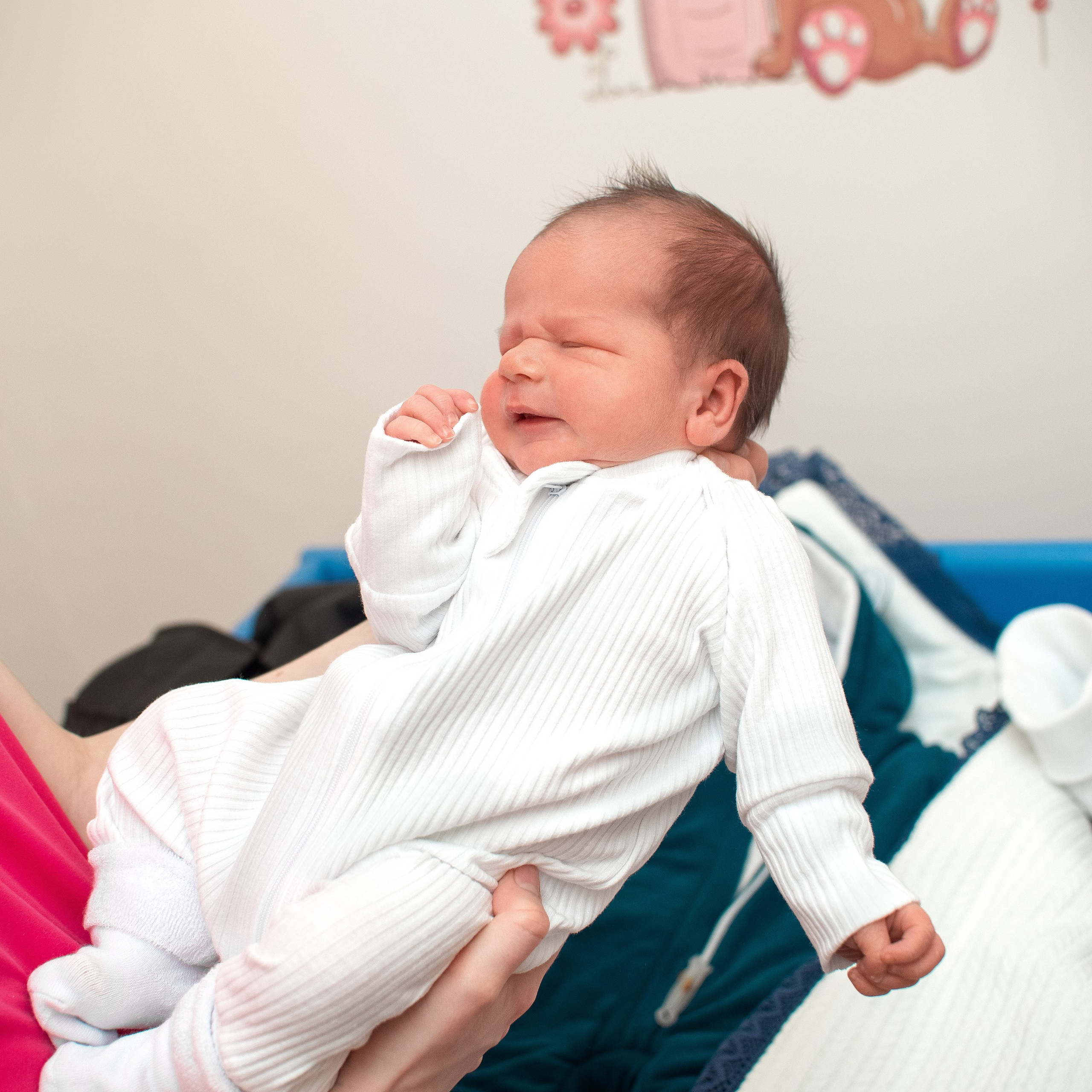 Выписка Захара 1РД