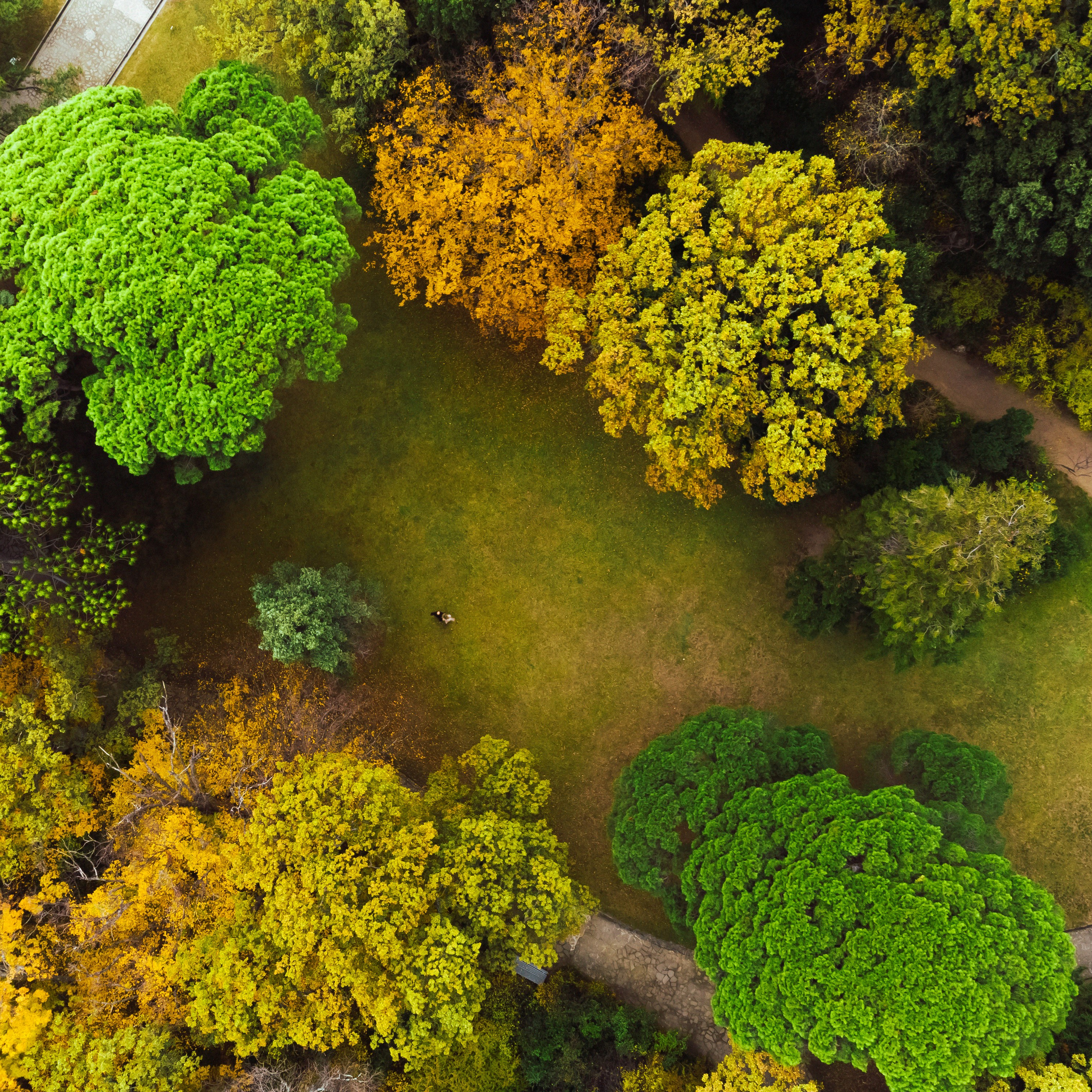 Осенняя прогулка