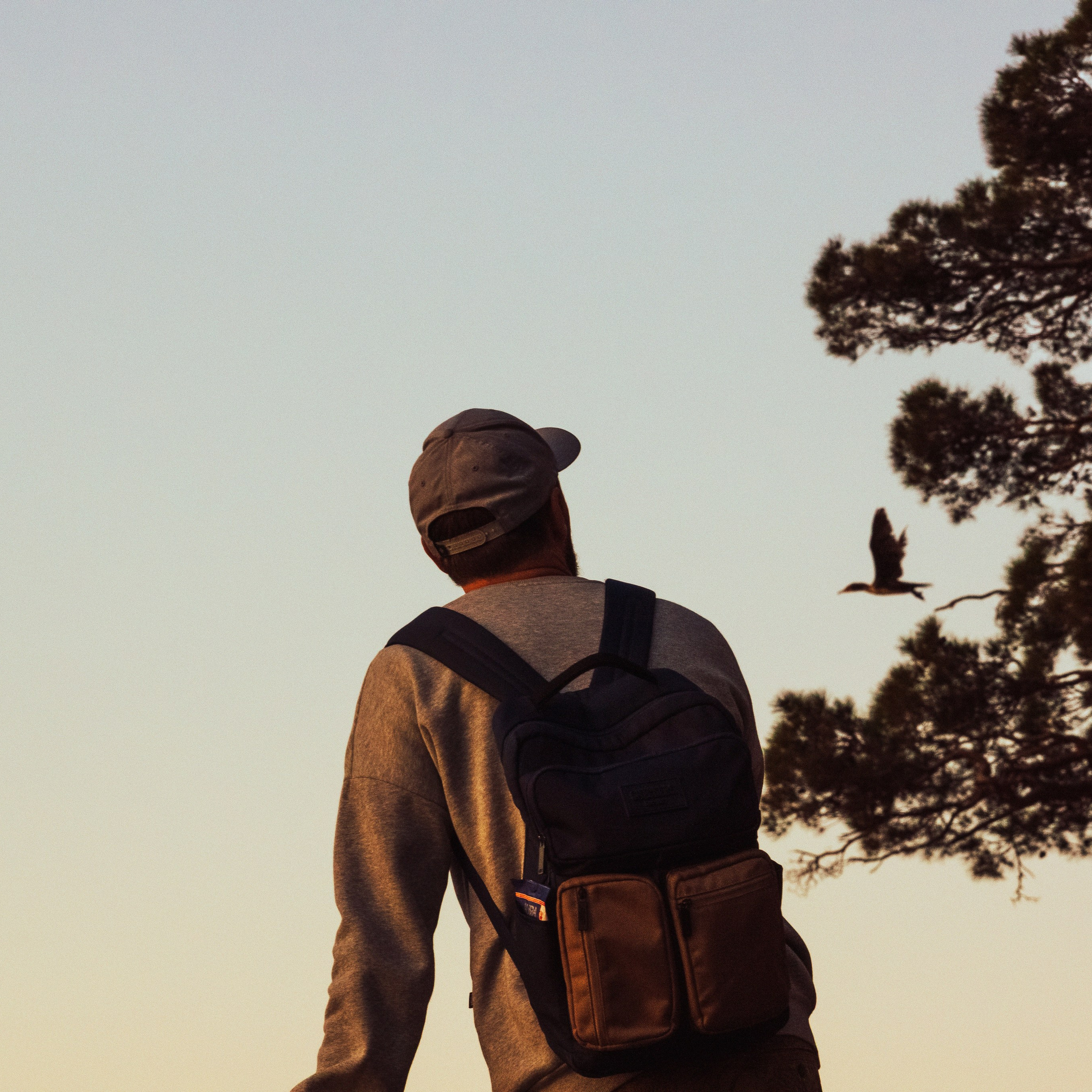 Весеннее путешествие