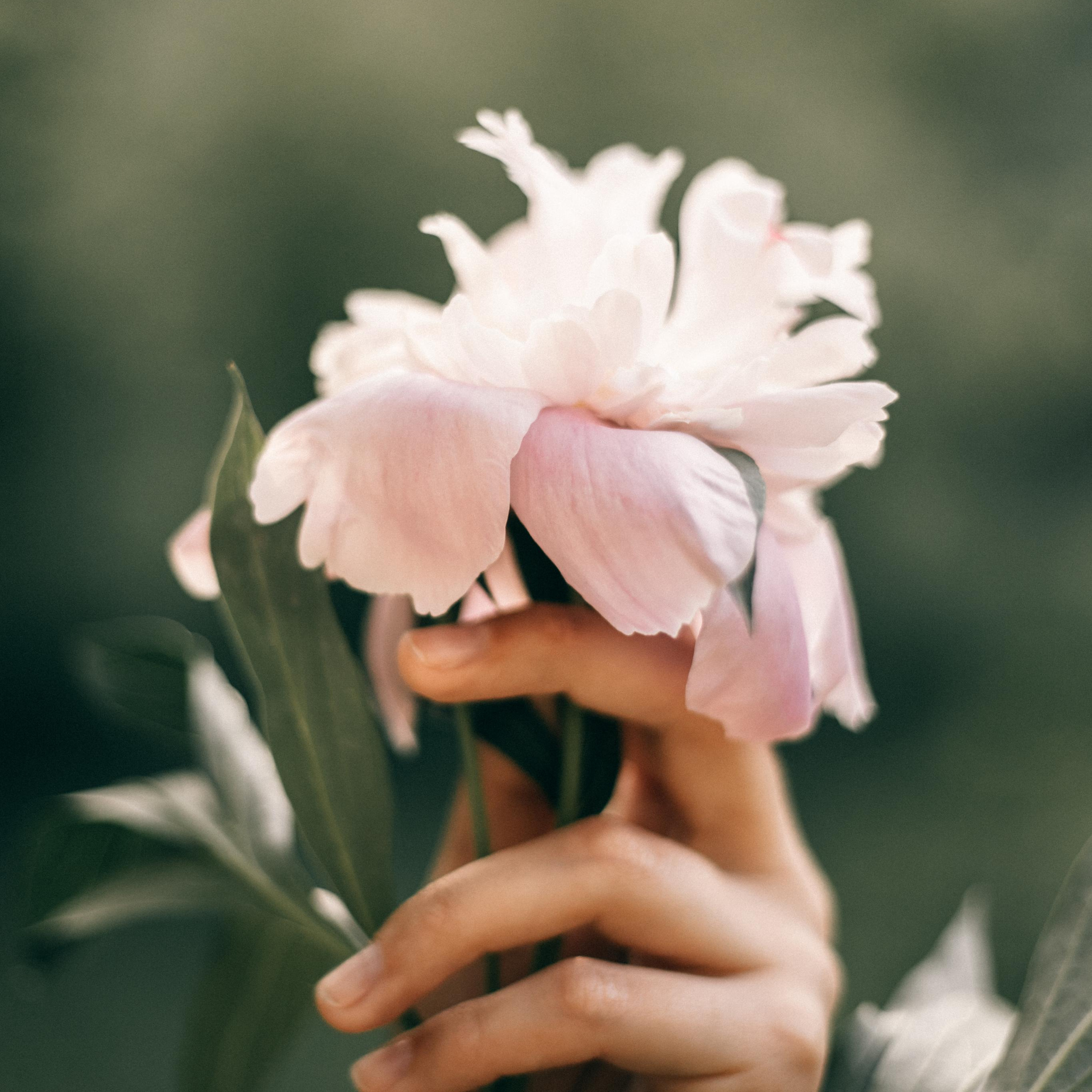 Отзывы. Портретный и семейный фотограф в Саратове Елена Шустова