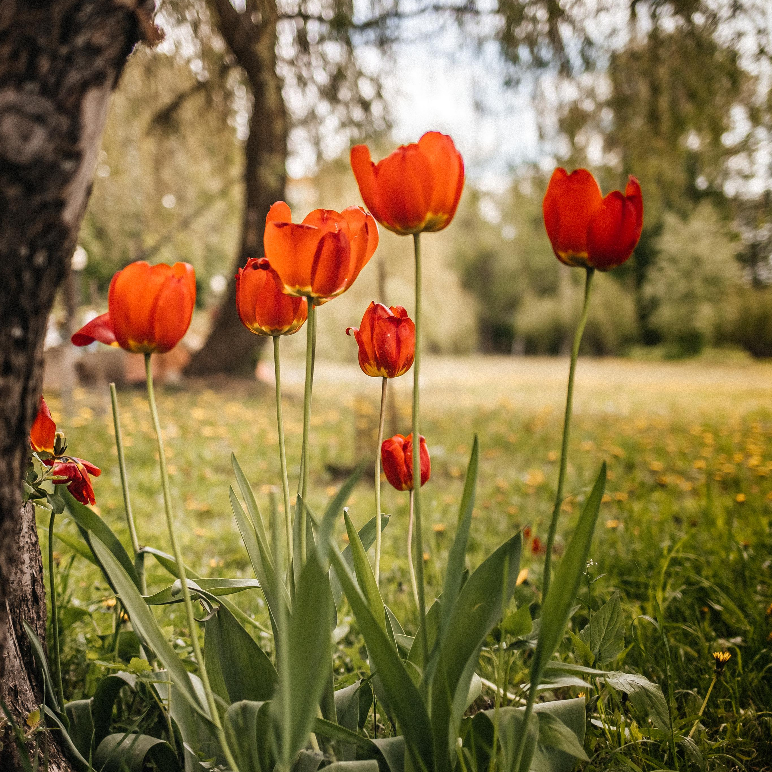 Отзывы. Портретный и семейный фотограф в Саратове Елена Шустова