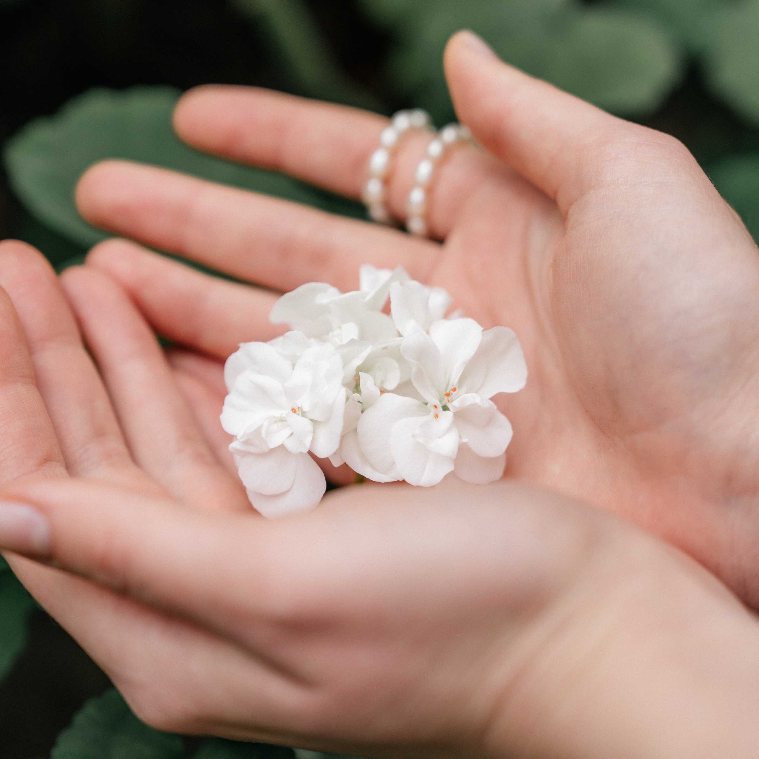 Ботанический сад