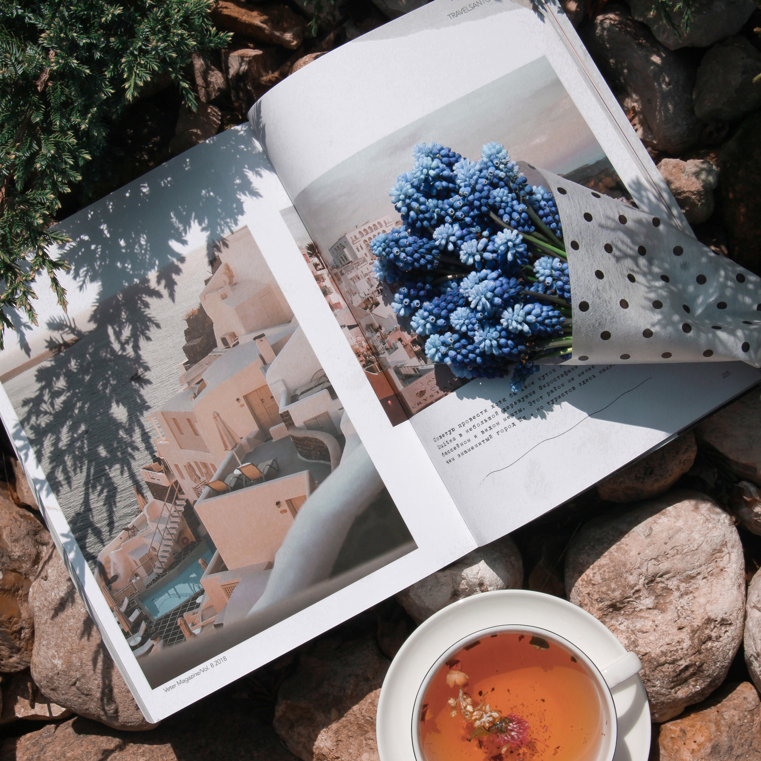 Создание красивой раскладки, мастер-класс по flatlay. Фотограф Ирина Воробьева