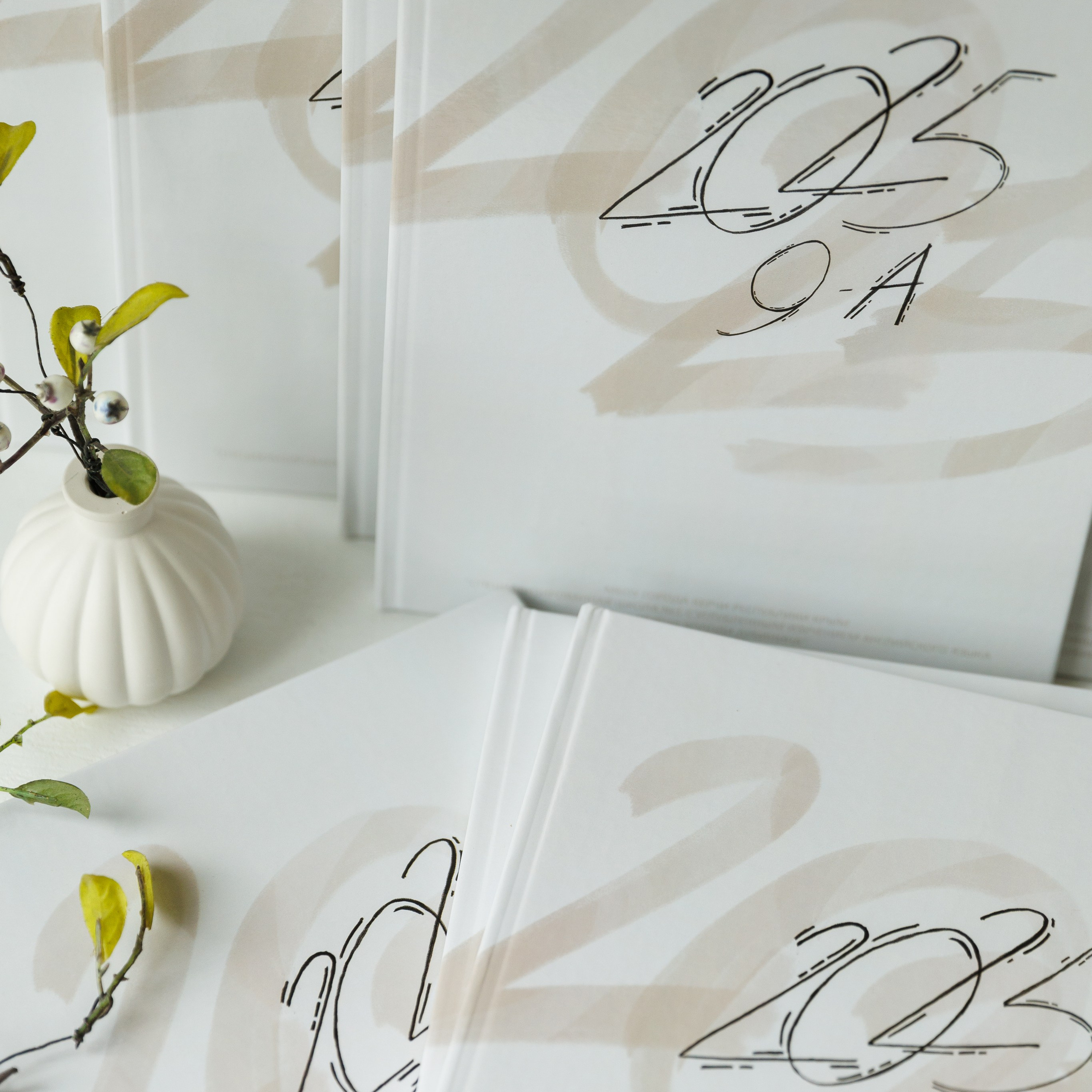 выпускникам 9 класса Дубинина 2025