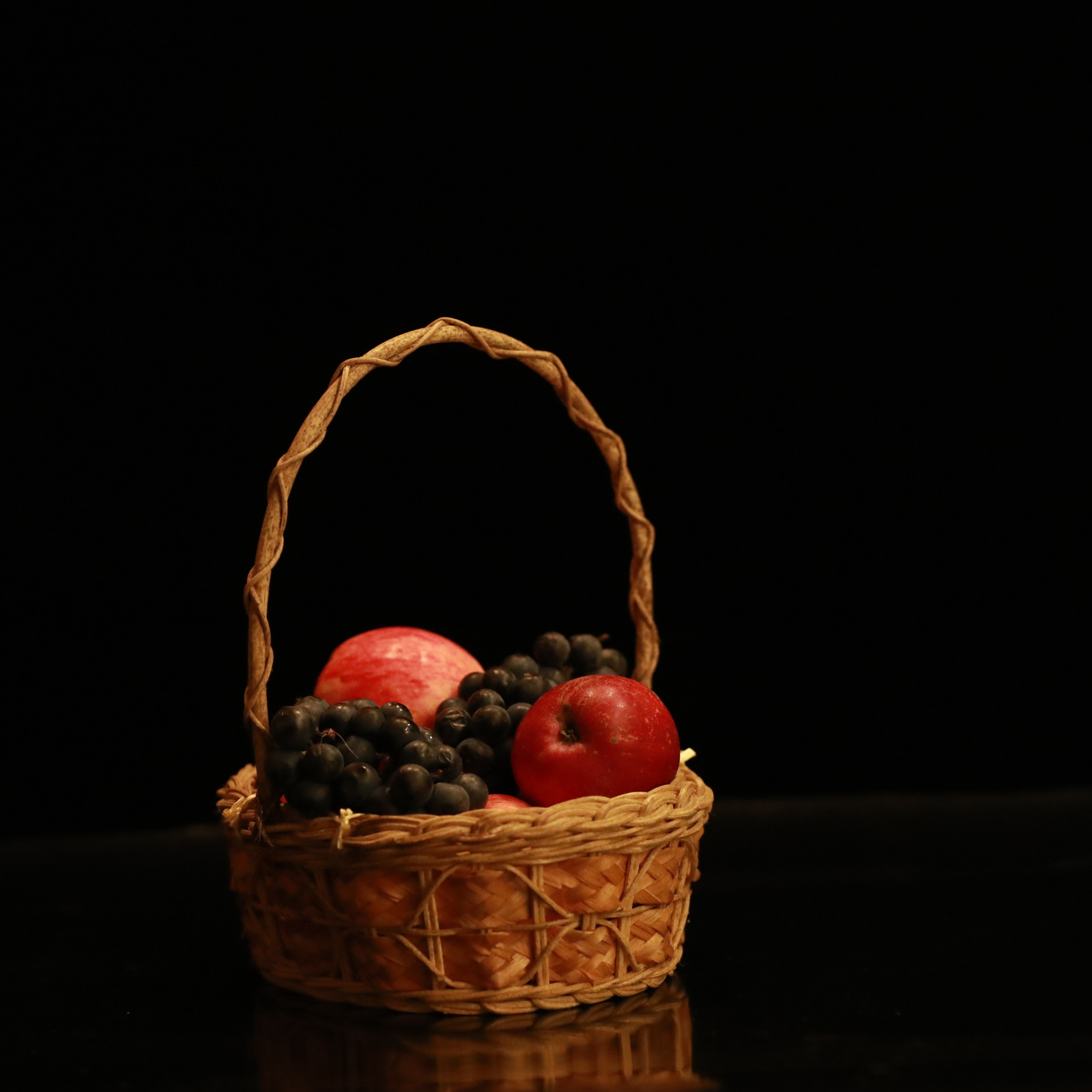 Отзывы. Борис Артамонов фотограф — анималист. Москва