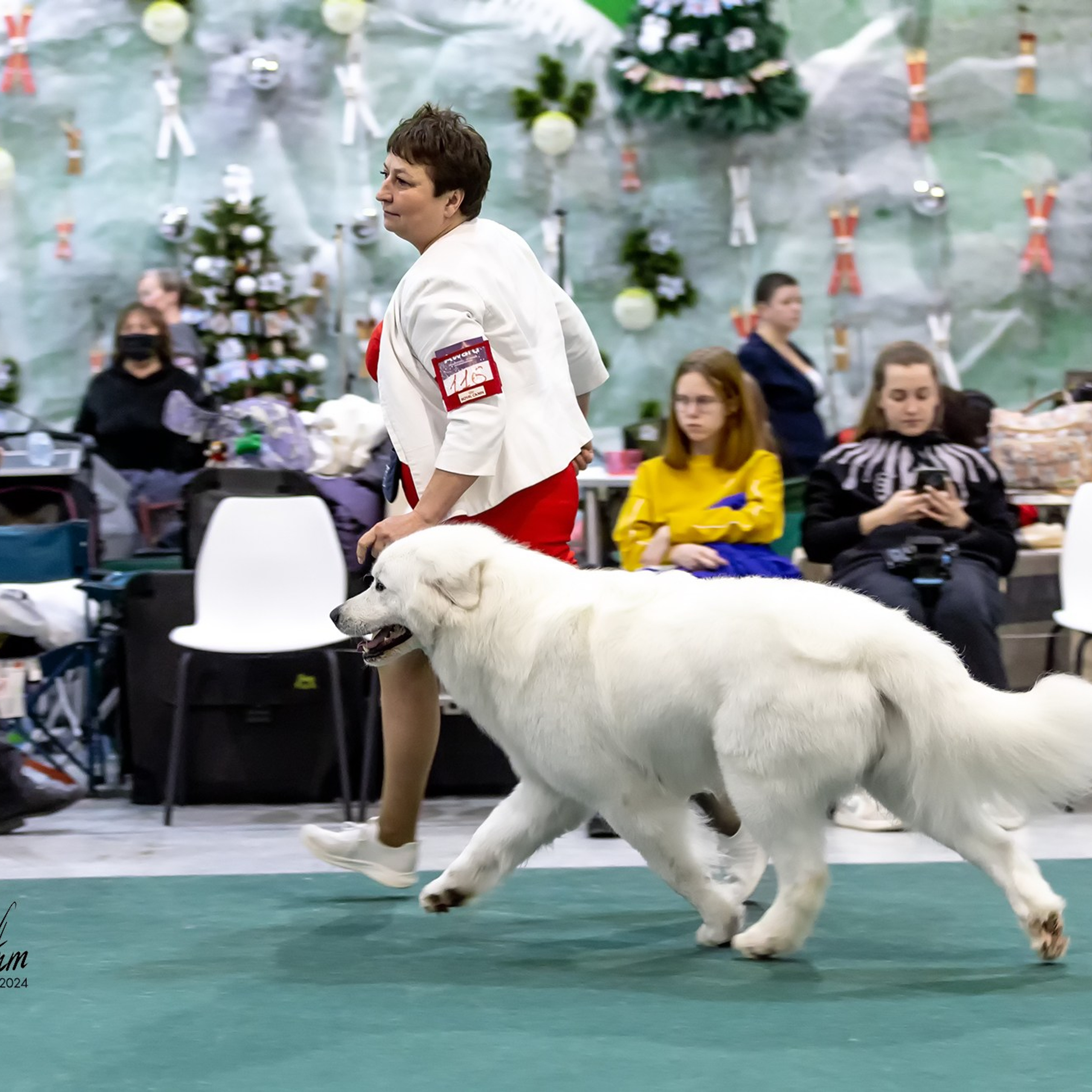 Отзывы. Борис Артамонов фотограф — анималист. Москва