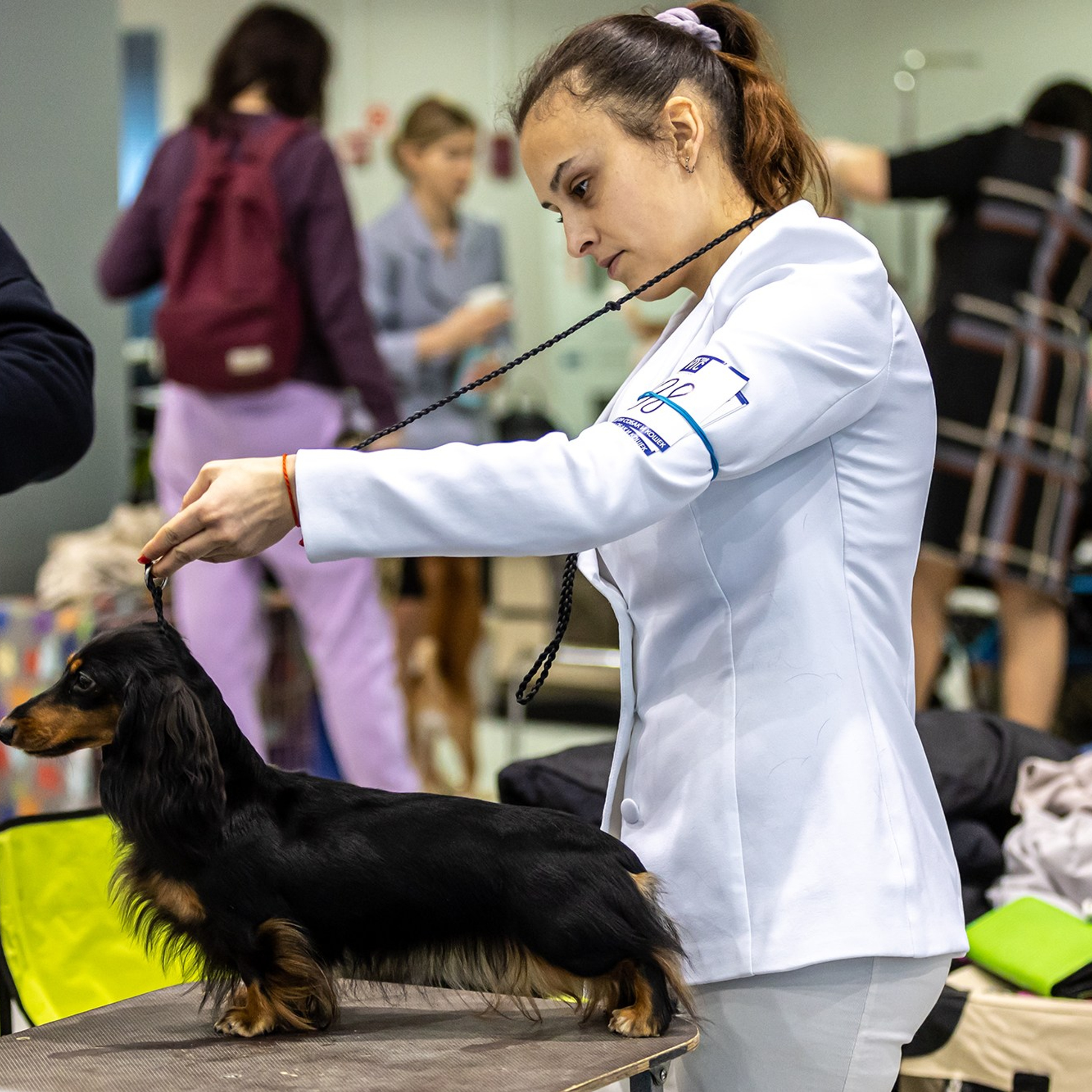Отзывы. Борис Артамонов фотограф — анималист. Москва