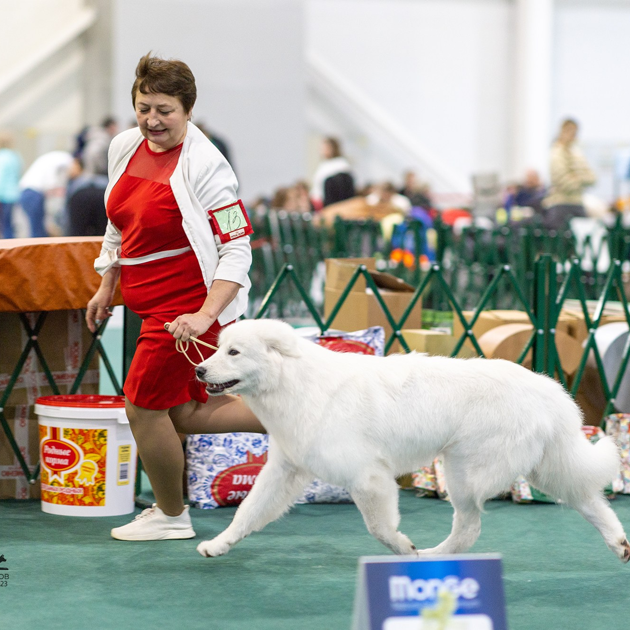 Отзывы. Борис Артамонов фотограф — анималист. Москва