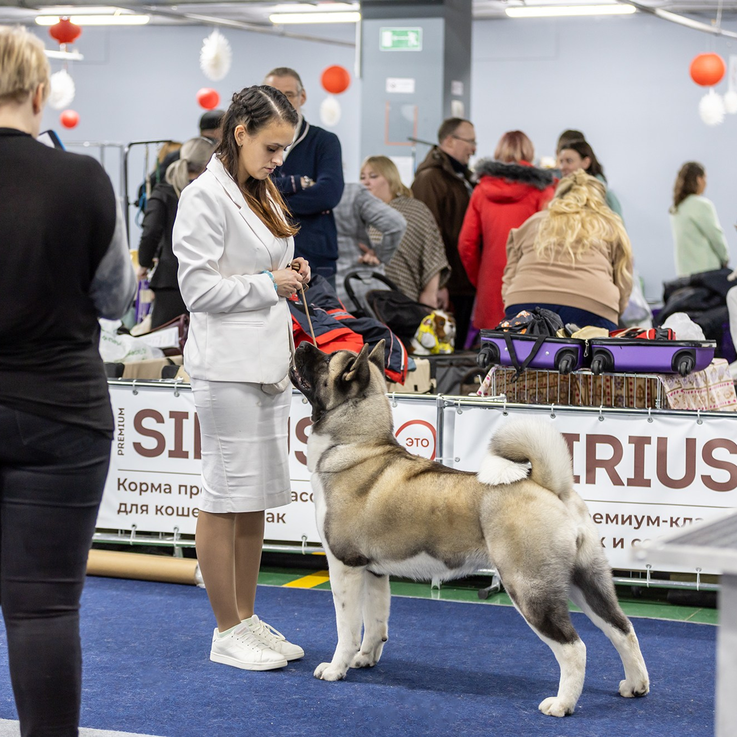 Отзывы. Борис Артамонов фотограф — анималист. Москва