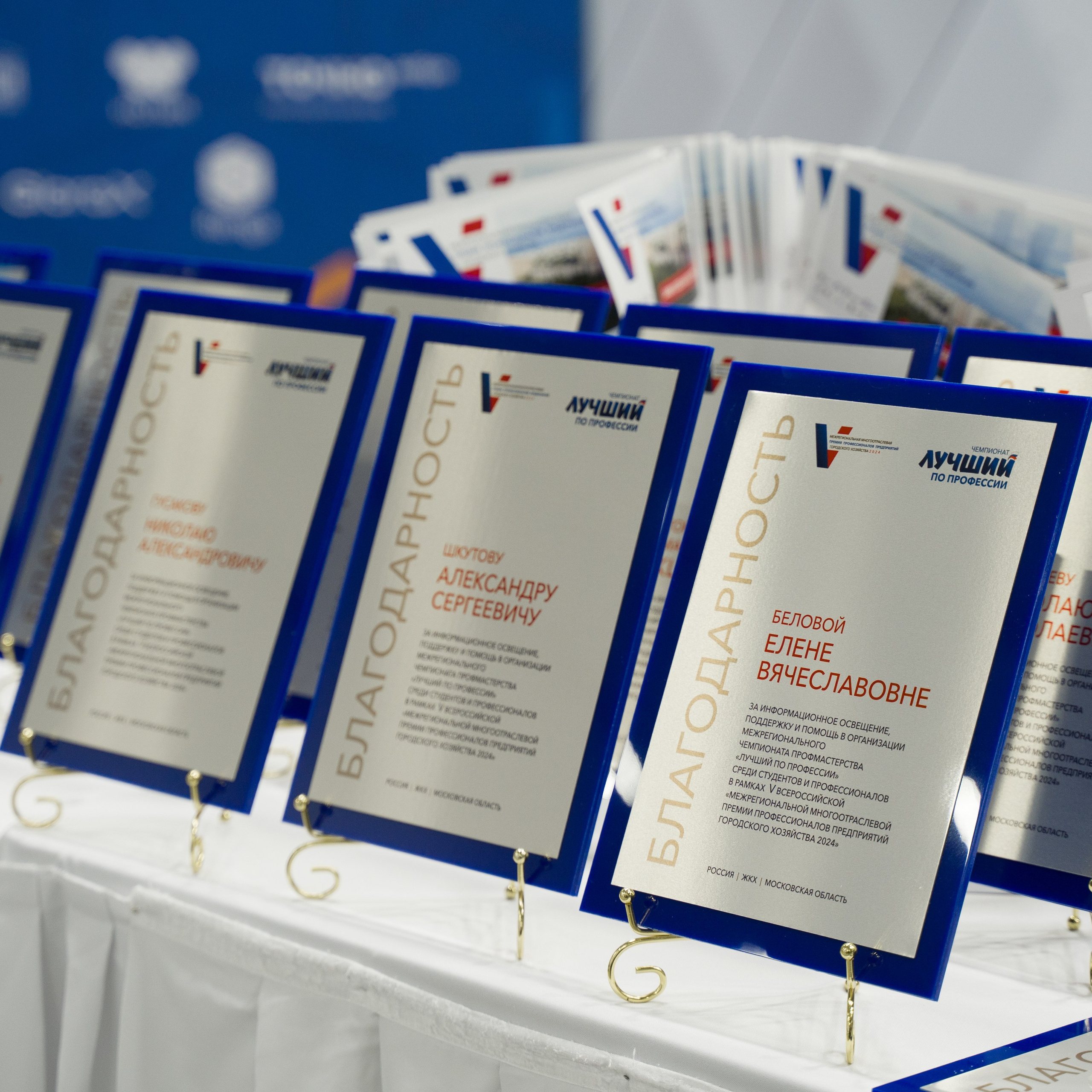 V Чемпионат в сфере ЖКХ «Лучший по профессии». НКО ЦИФРОВОЕ РАВЕНСТВО