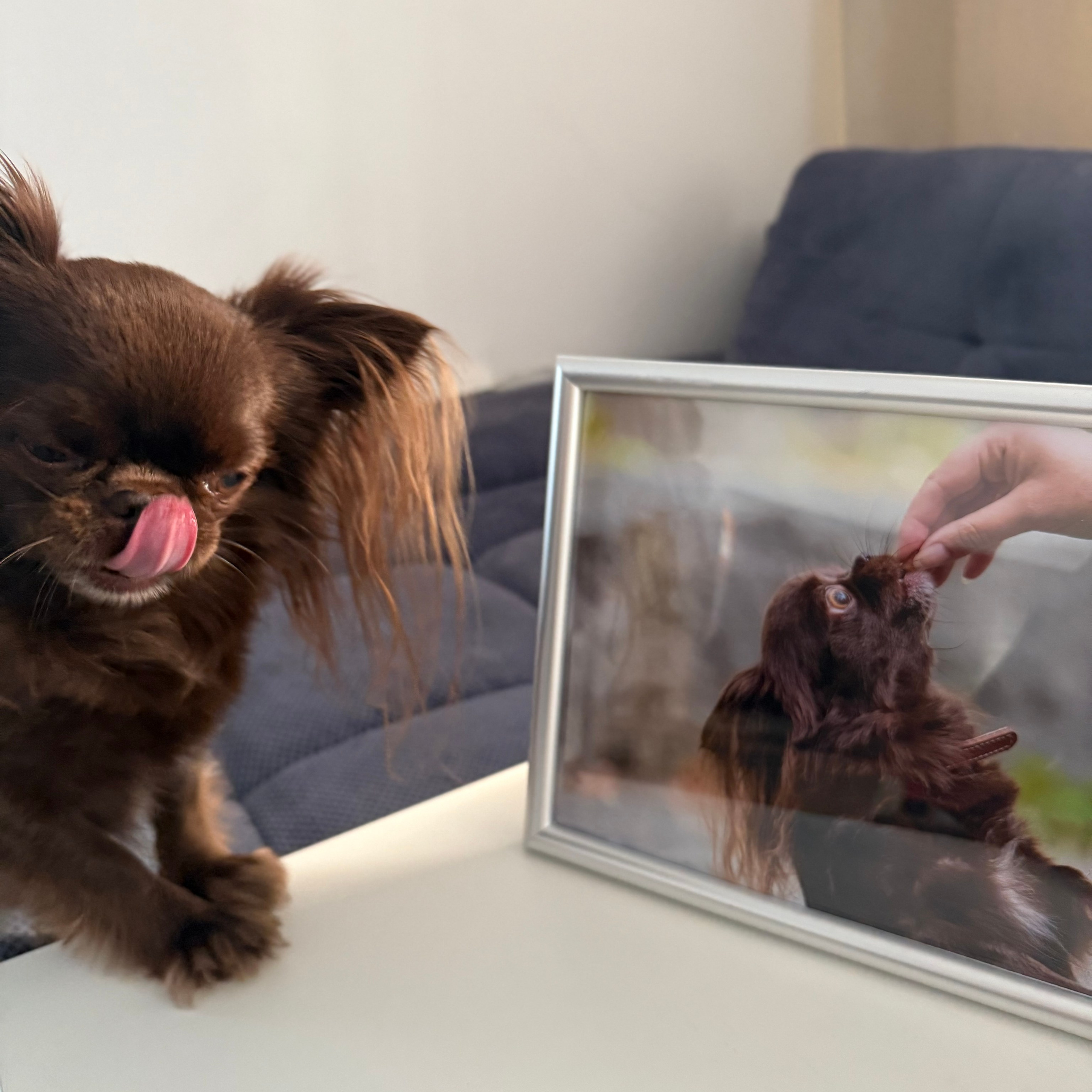 Отзывы. Buyvolenko Andrey