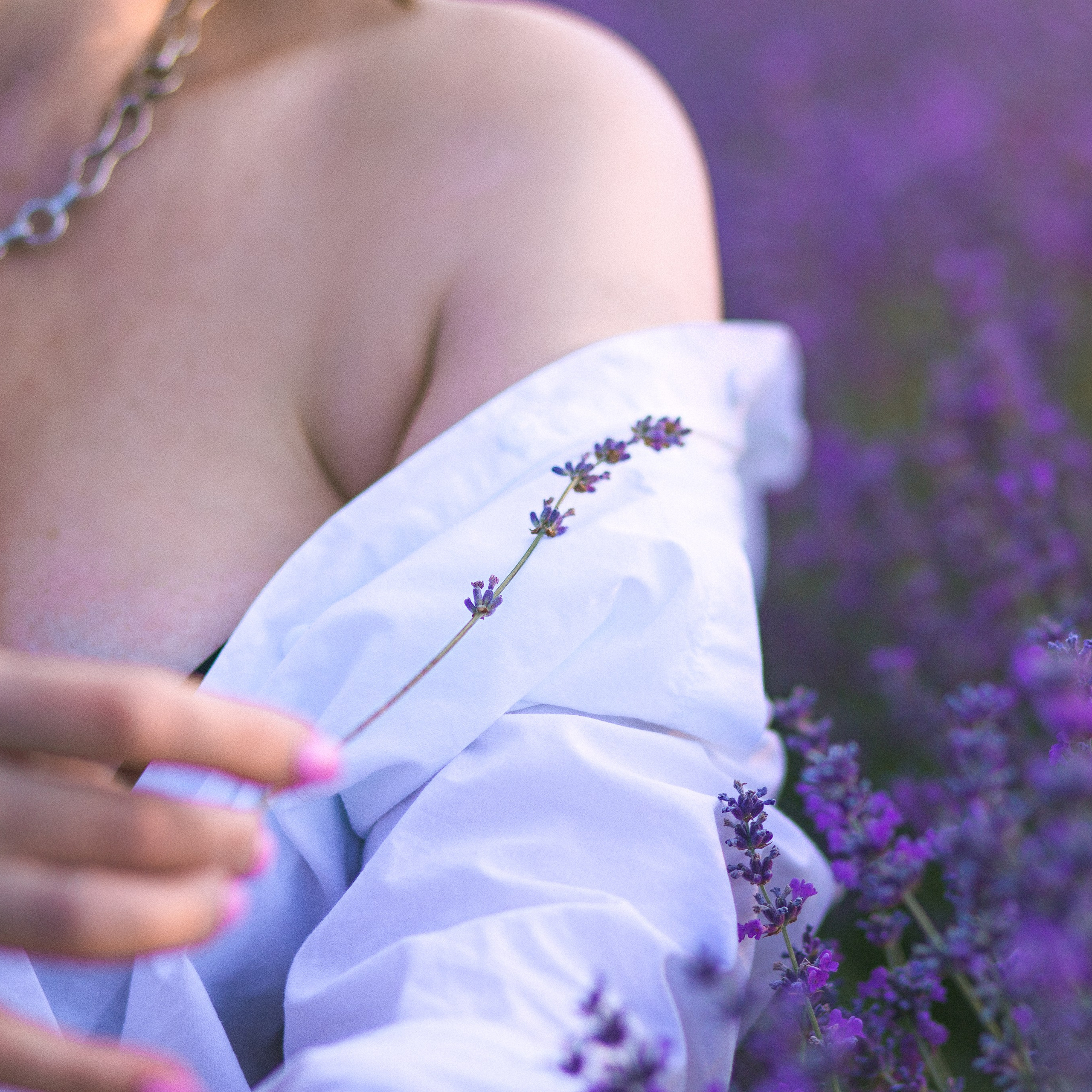 Крымская лаванда