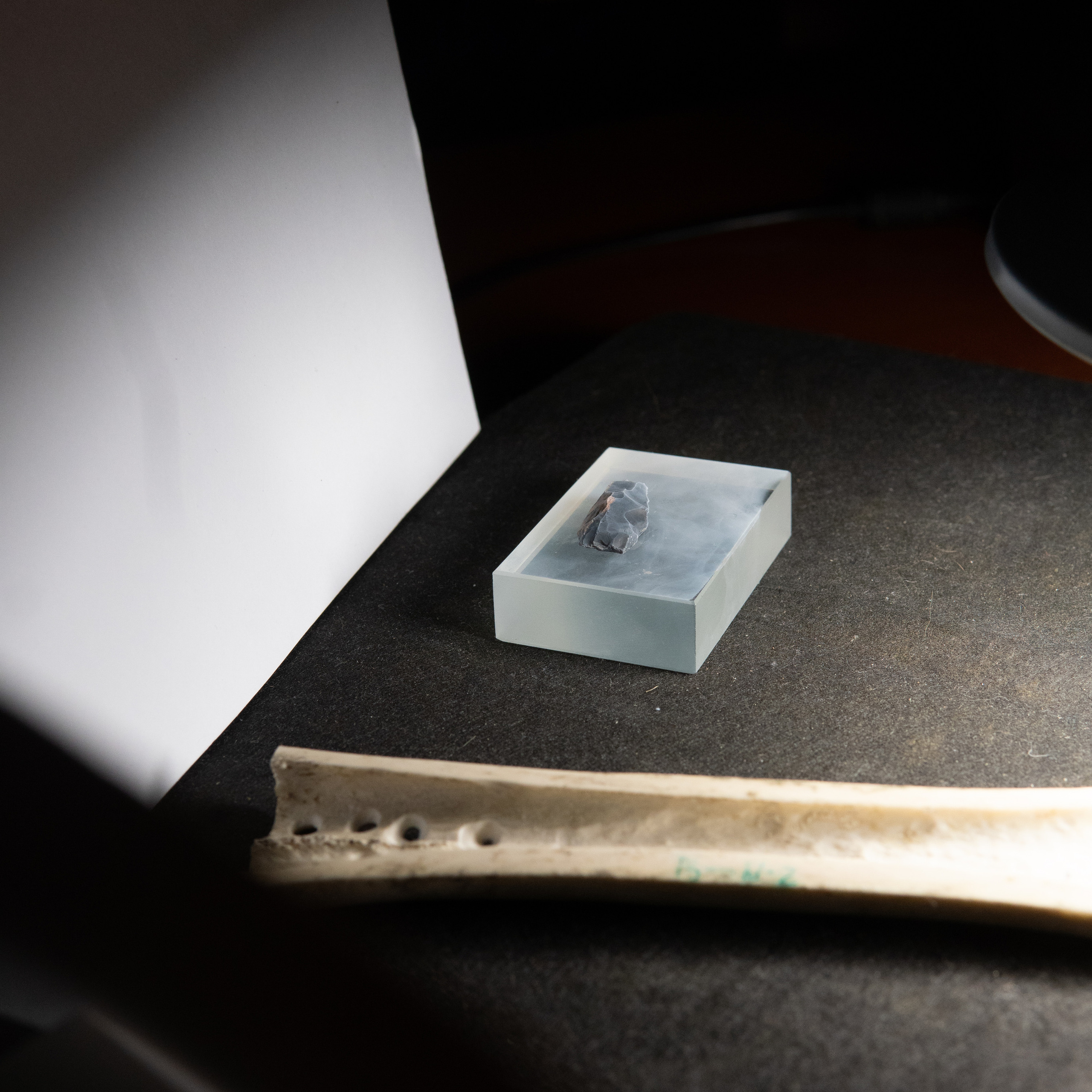 Мастер-классы «Макросъемка в археологии»