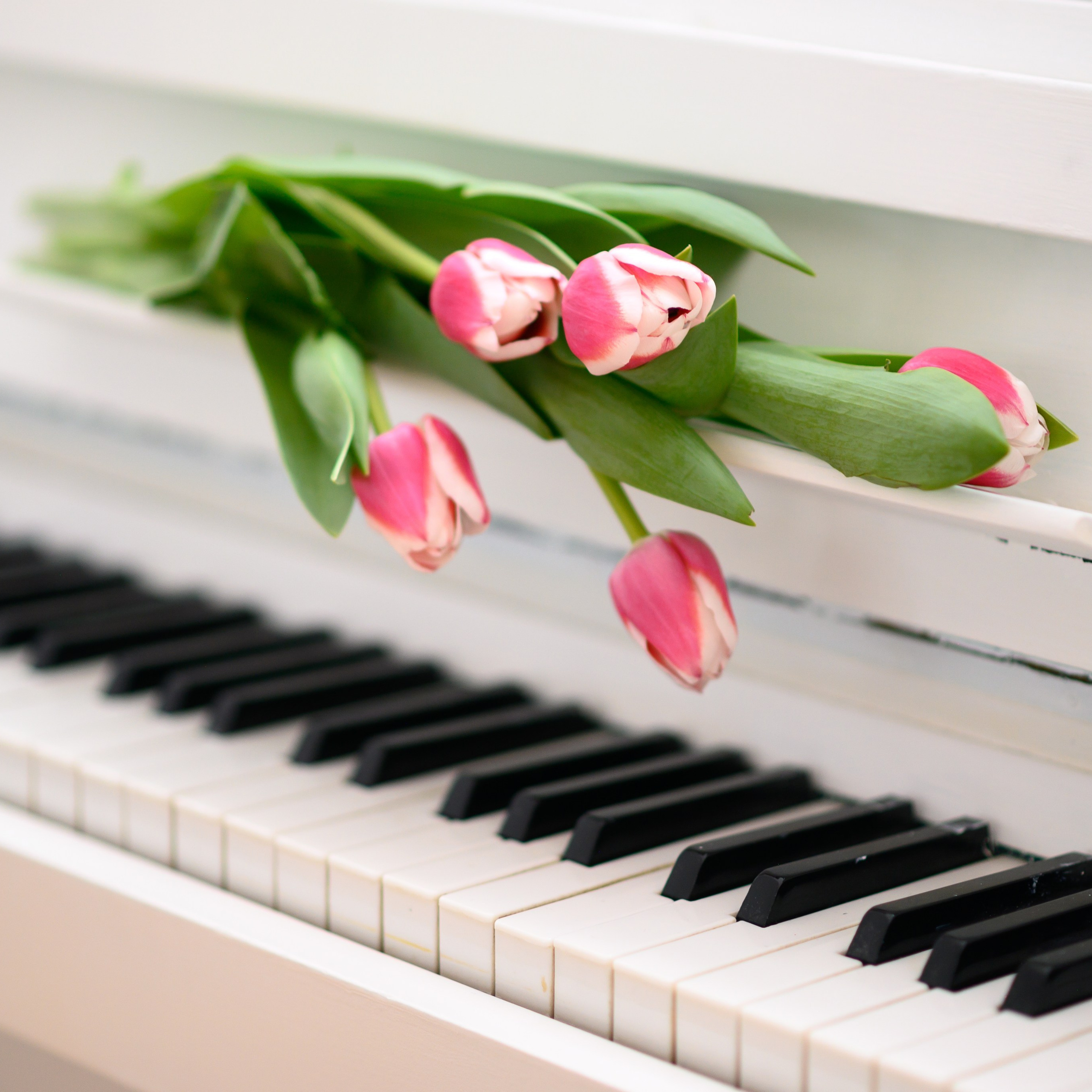 Отзывы. Детский фотограф Тольятти. Лера Герт