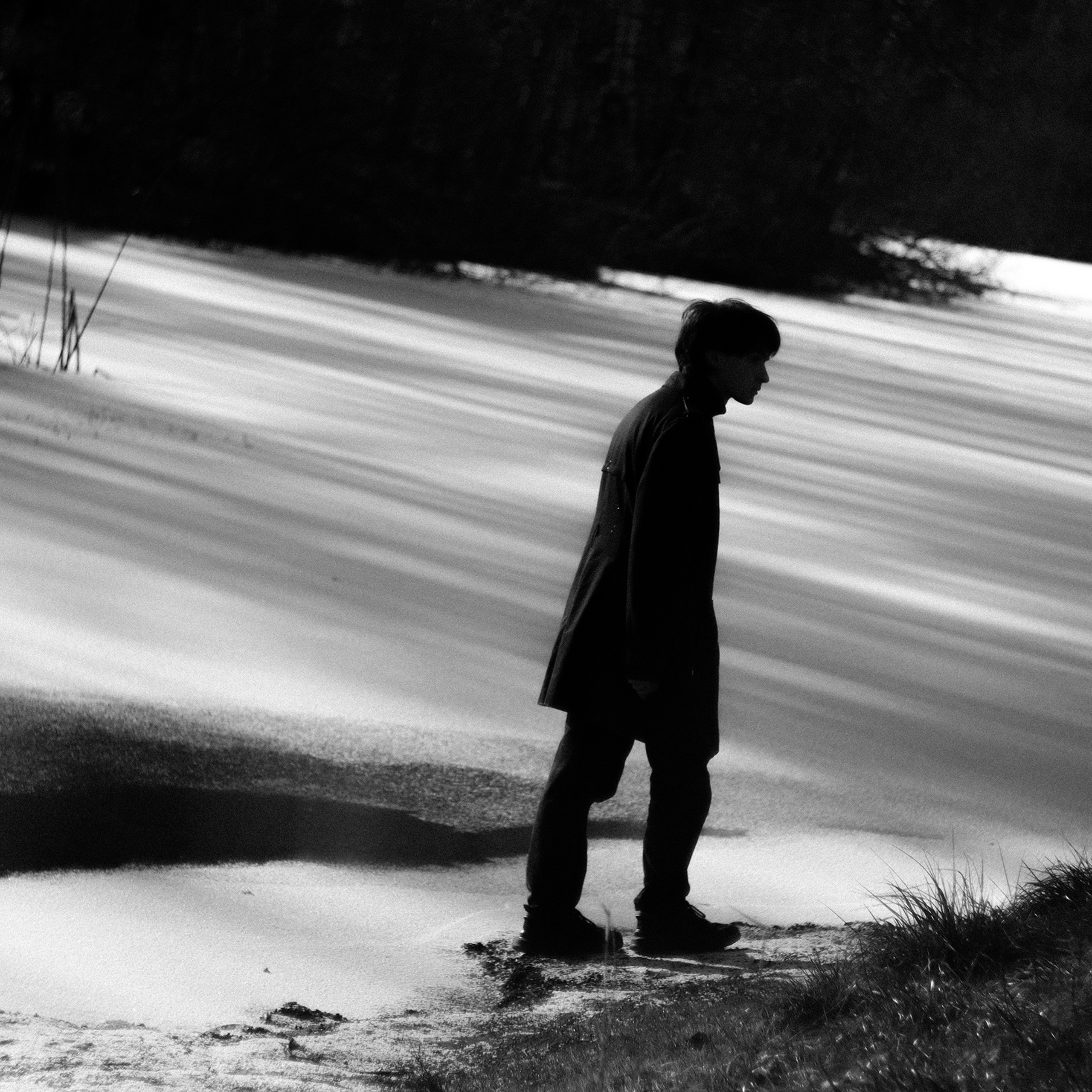 Портрет Димы