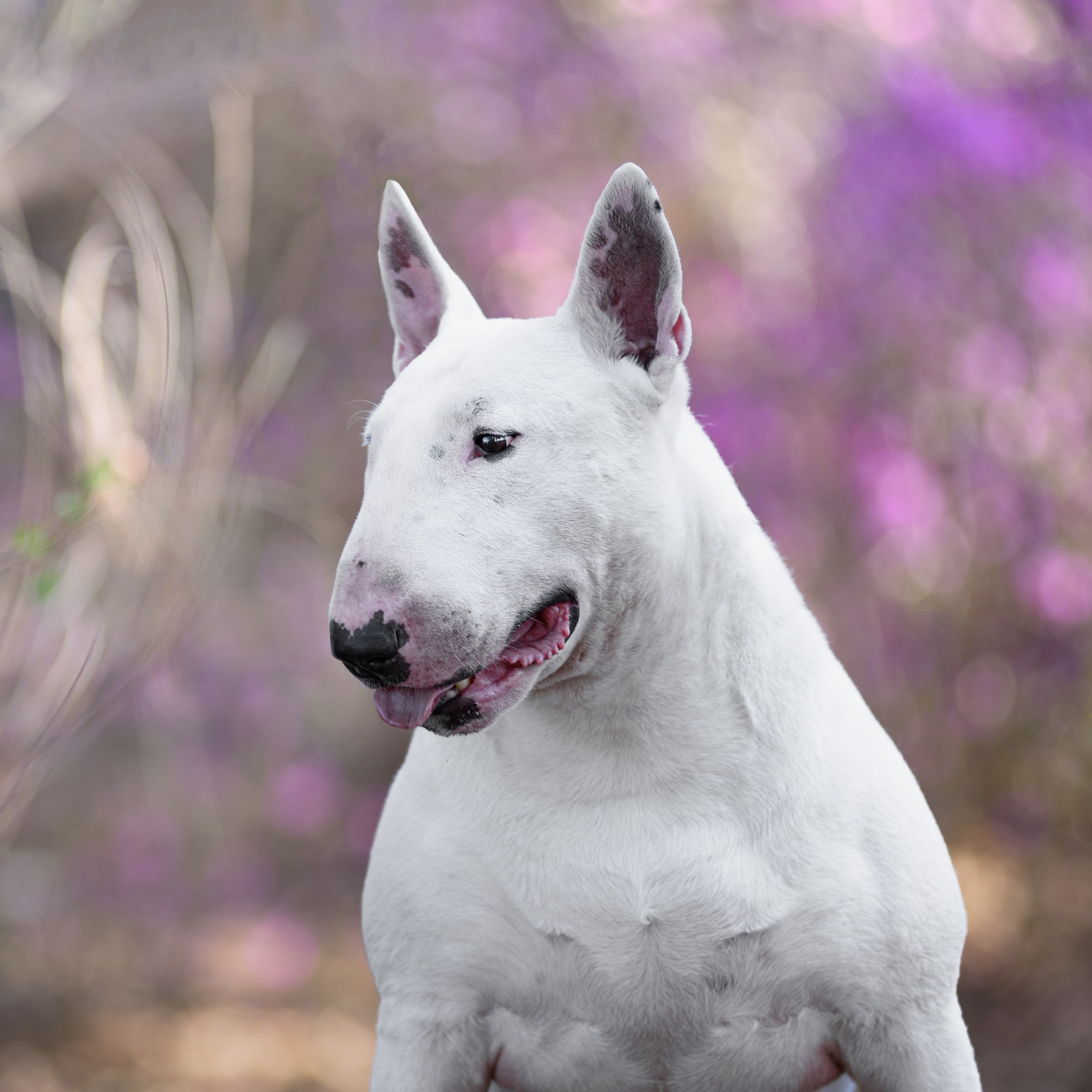 Фреди 07.05.2023