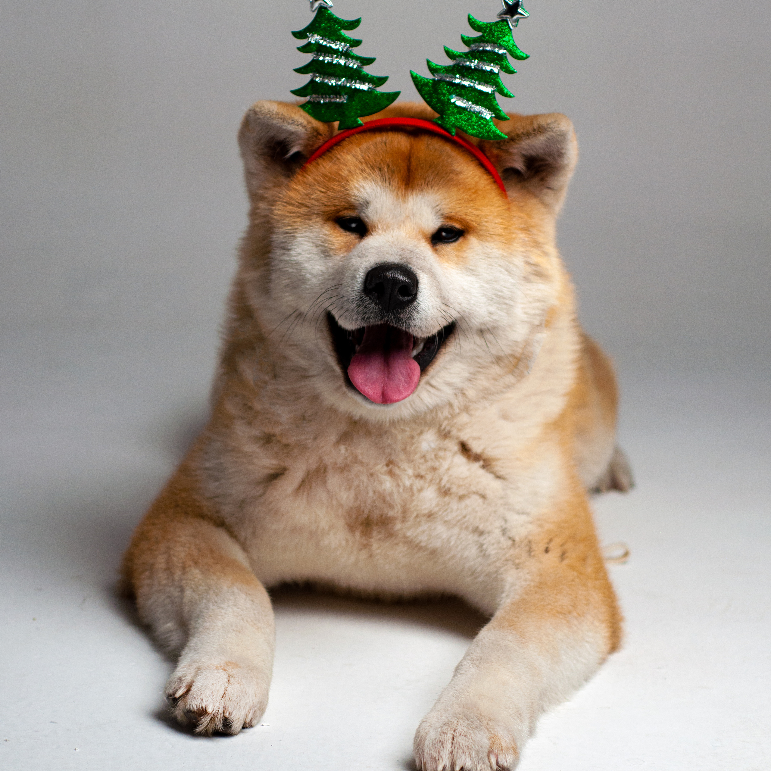 Ёма и Кирюша