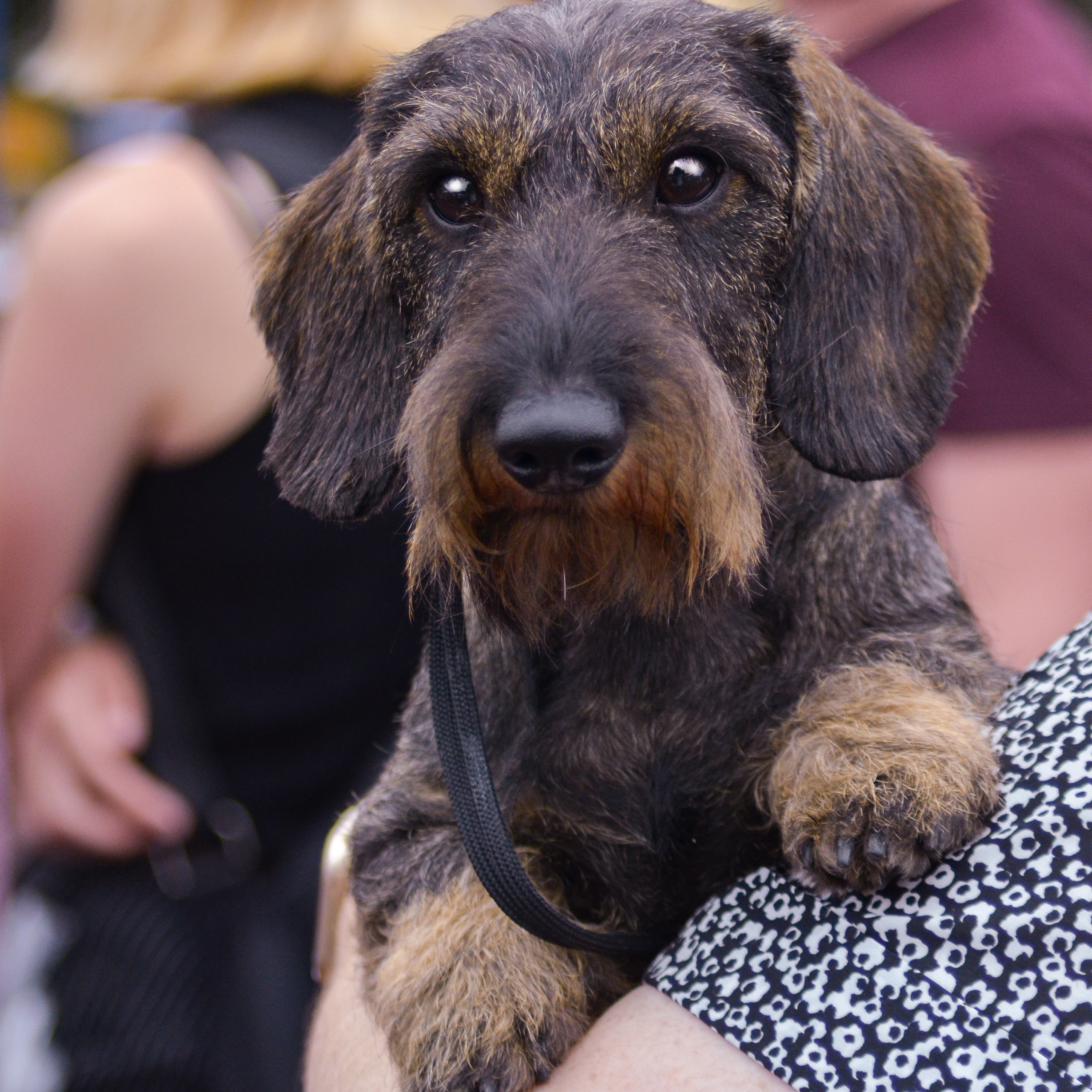 7–8 августа 2021 Благовещенск