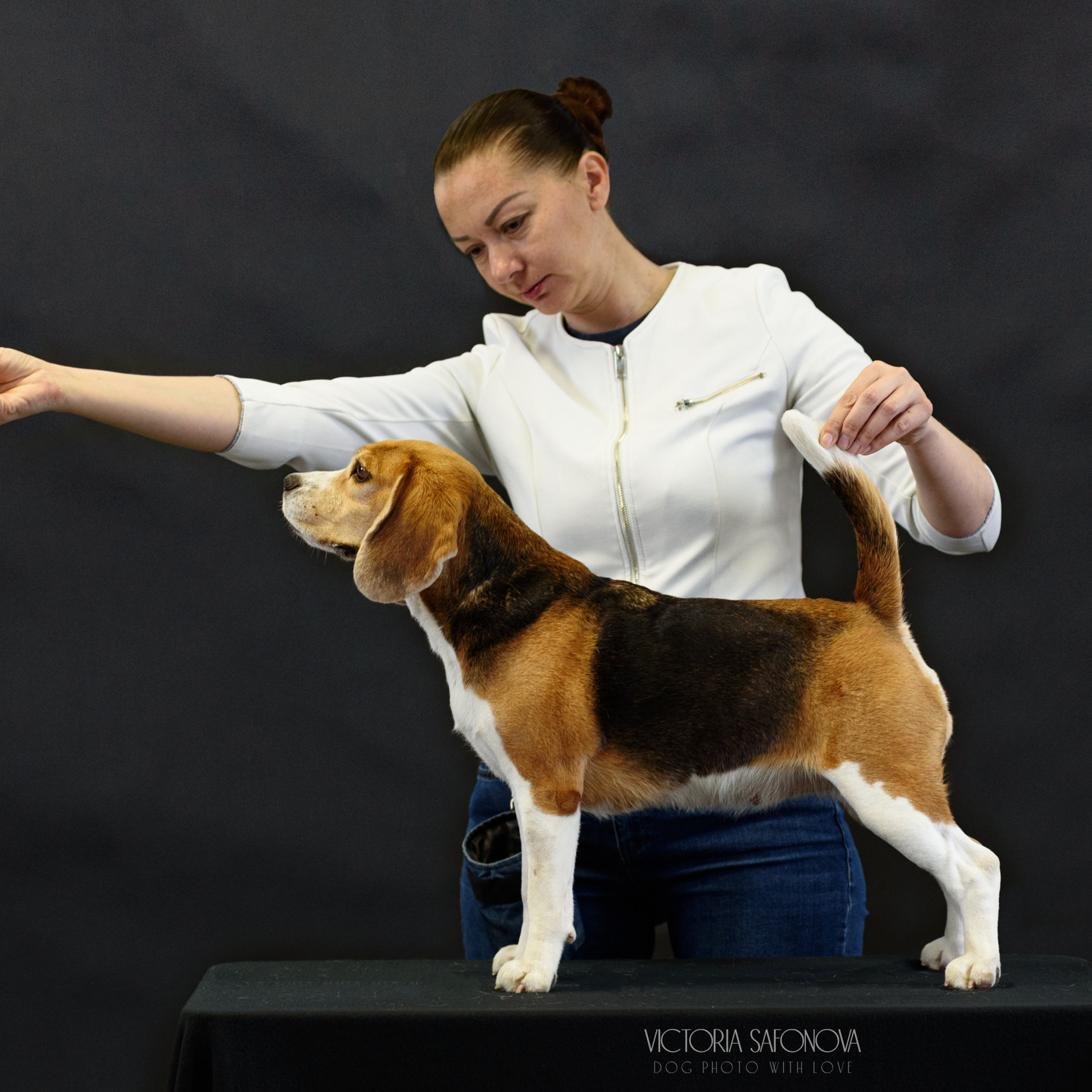 Отзывы. Фотограф анималист Благовещенск. Сафонова Виктория