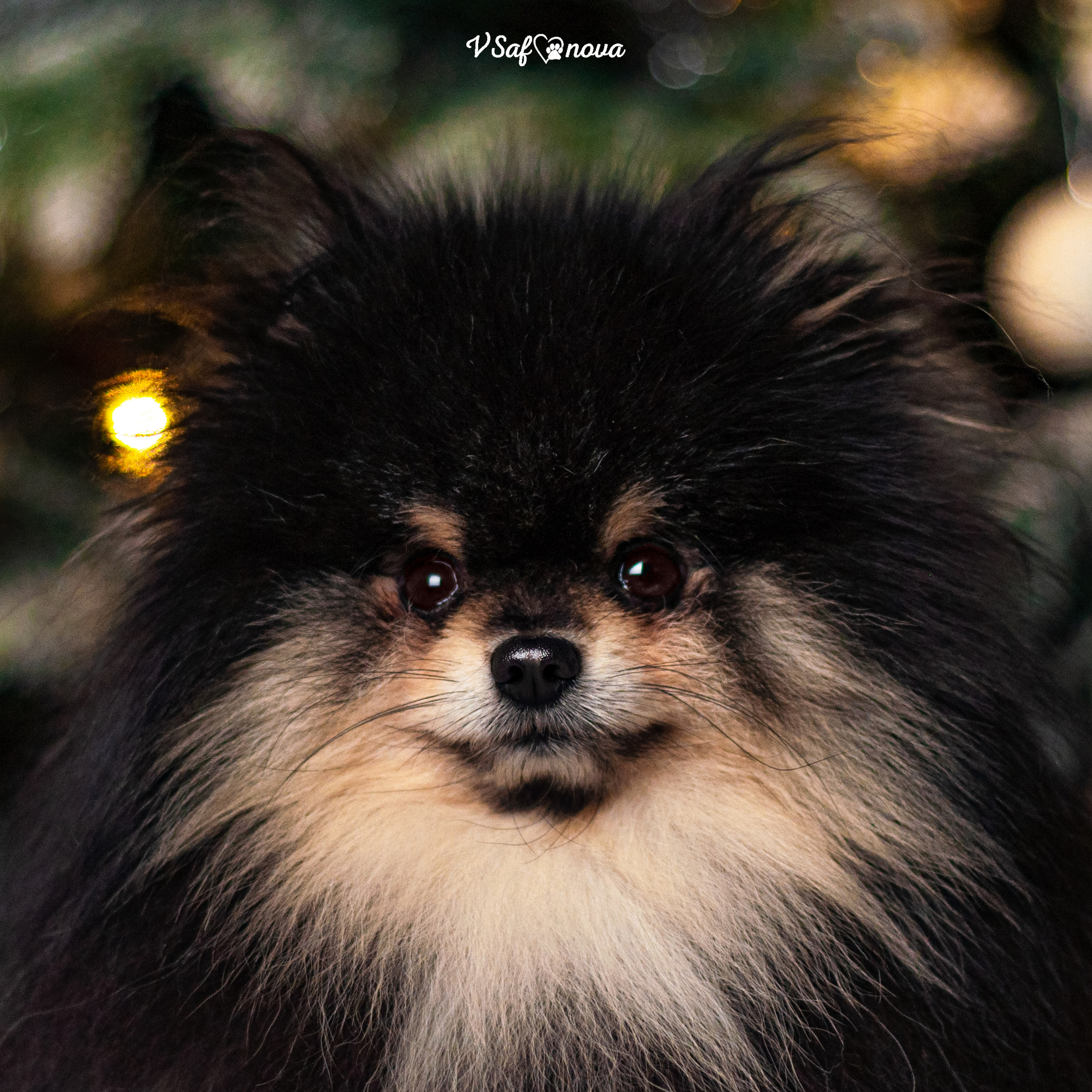 Ральф и Стейси