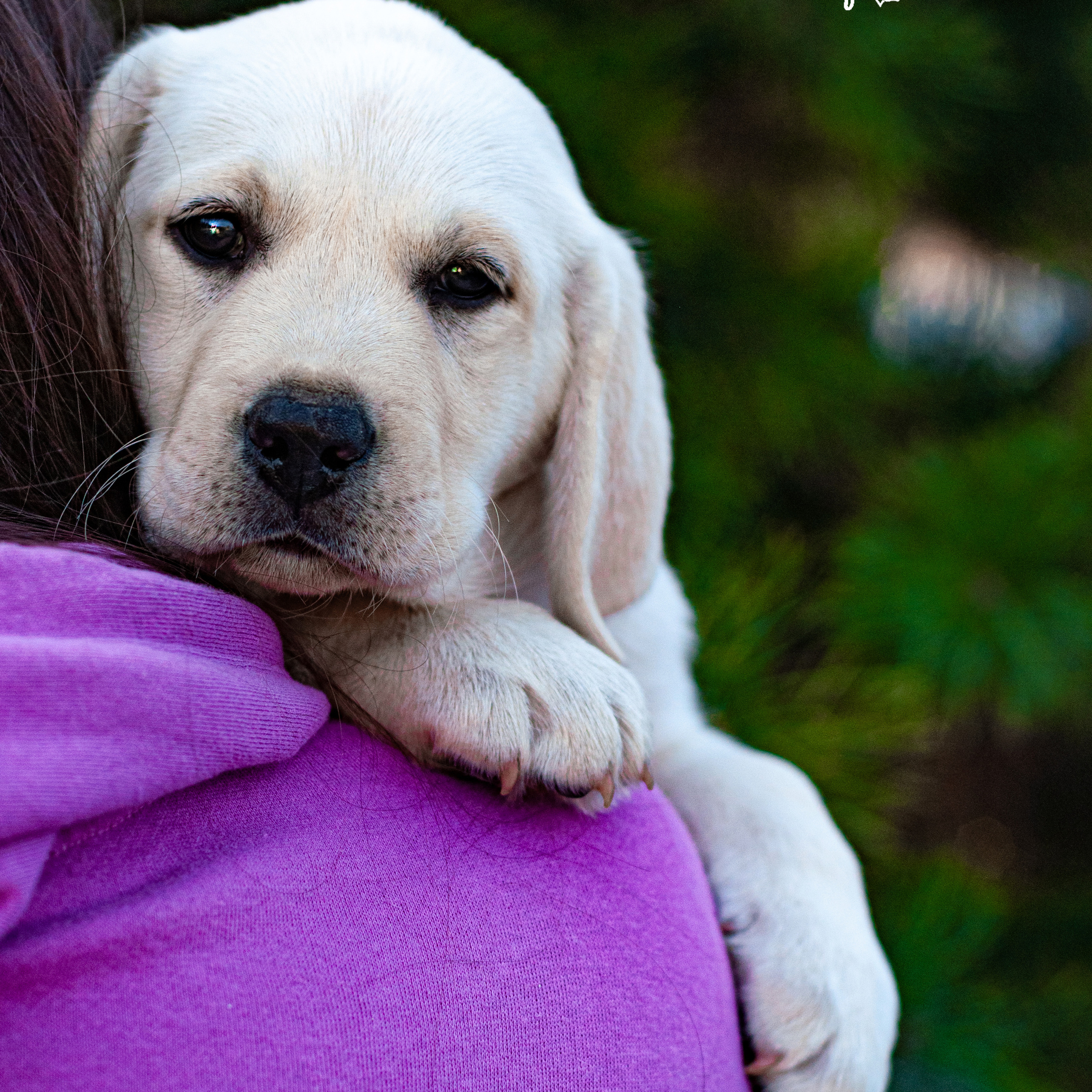 Лабродорчики 26.09.2021