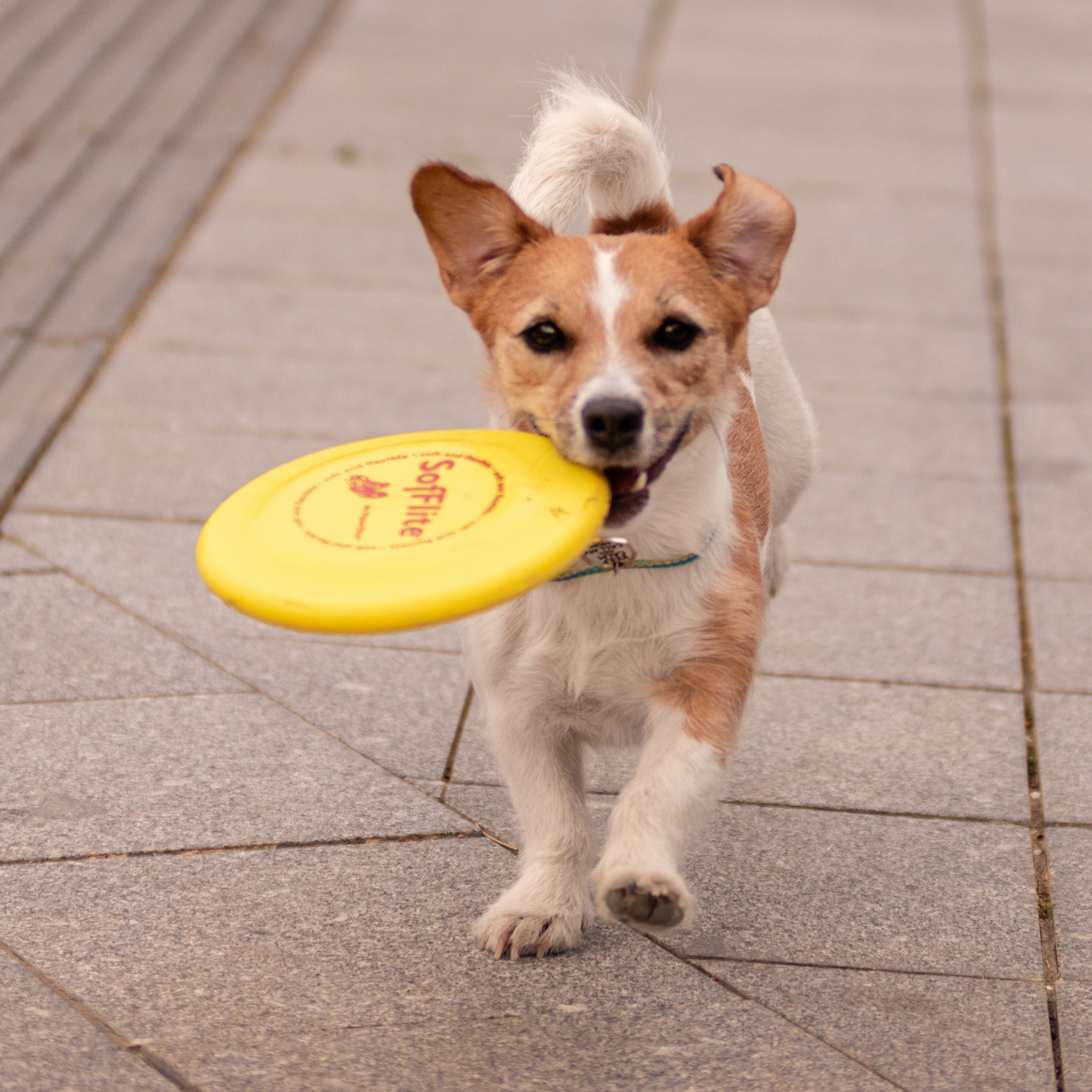 Алина и Лиза 22.05.2022