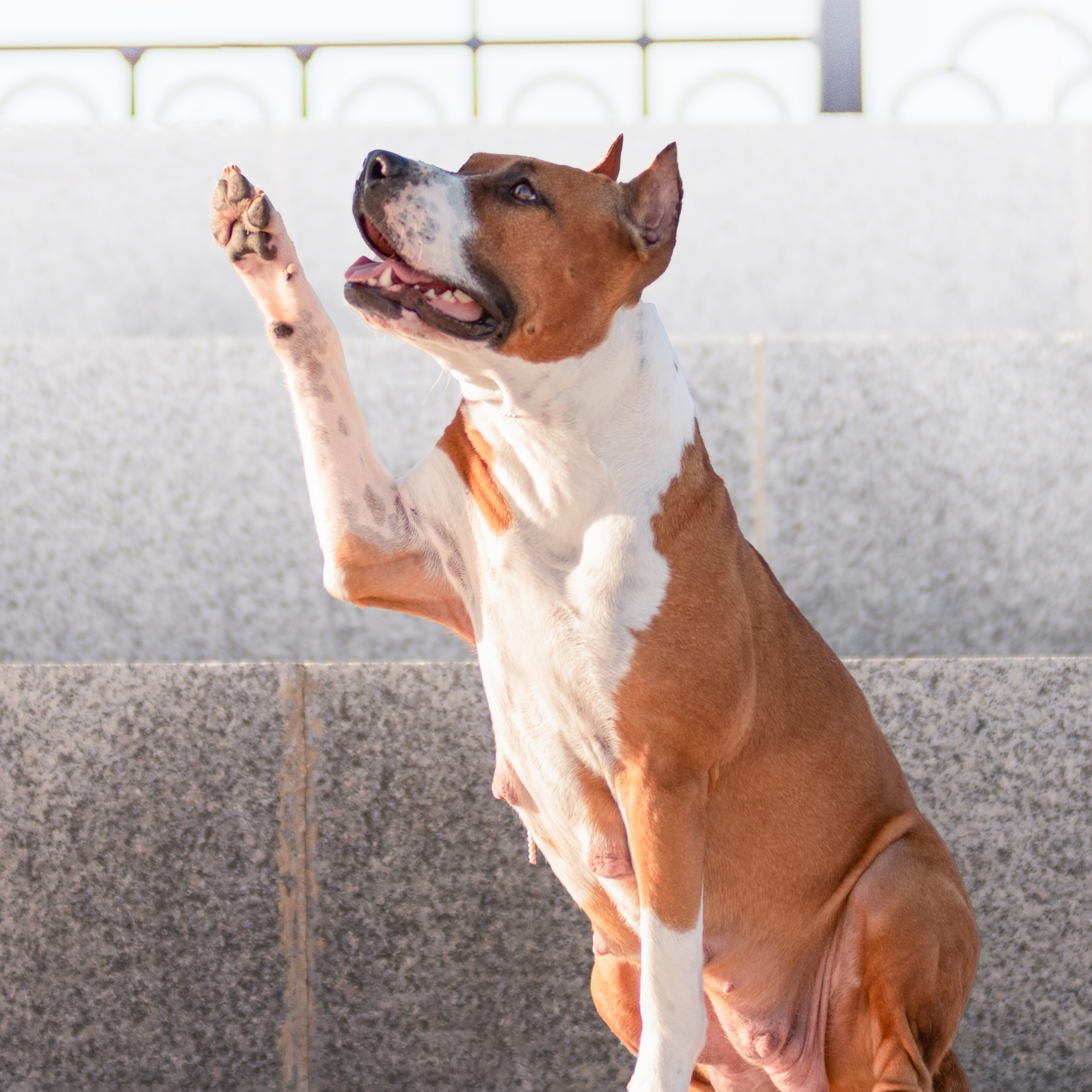 Аня и Гера 28.06.2022