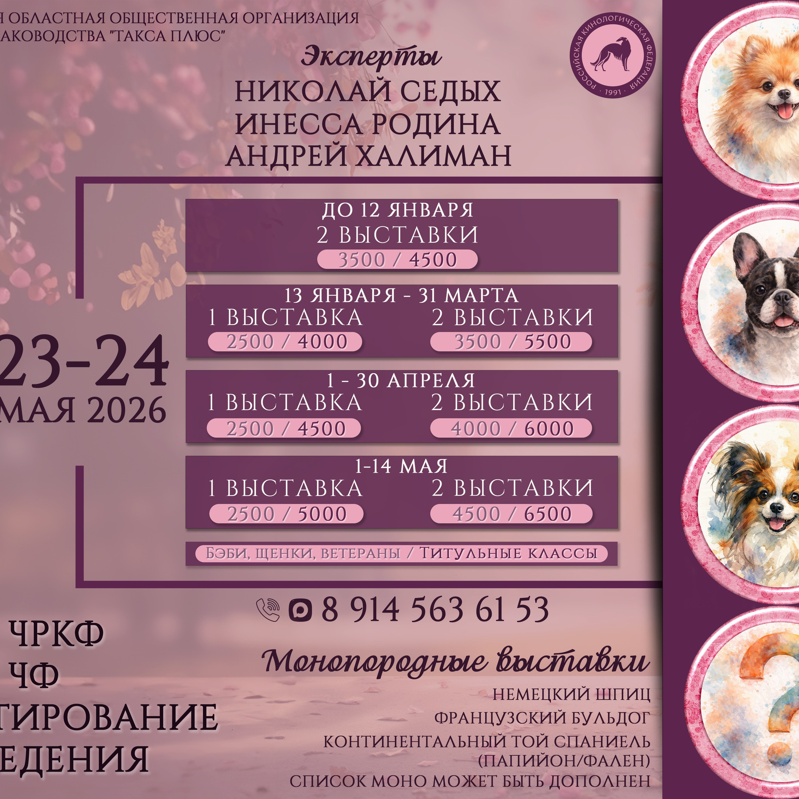 Анонсы мероприятий