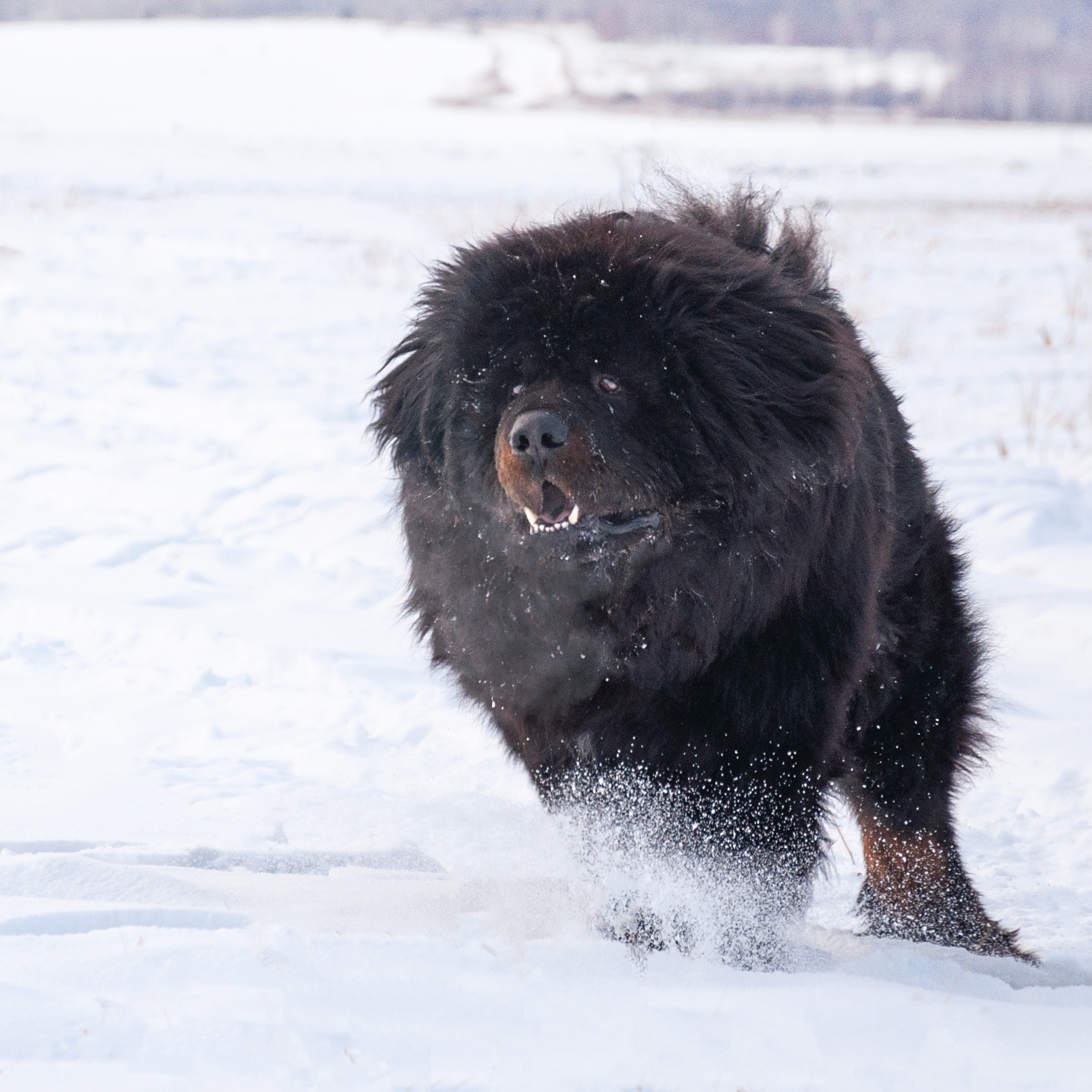 Ира и Ричи 29.01.2022