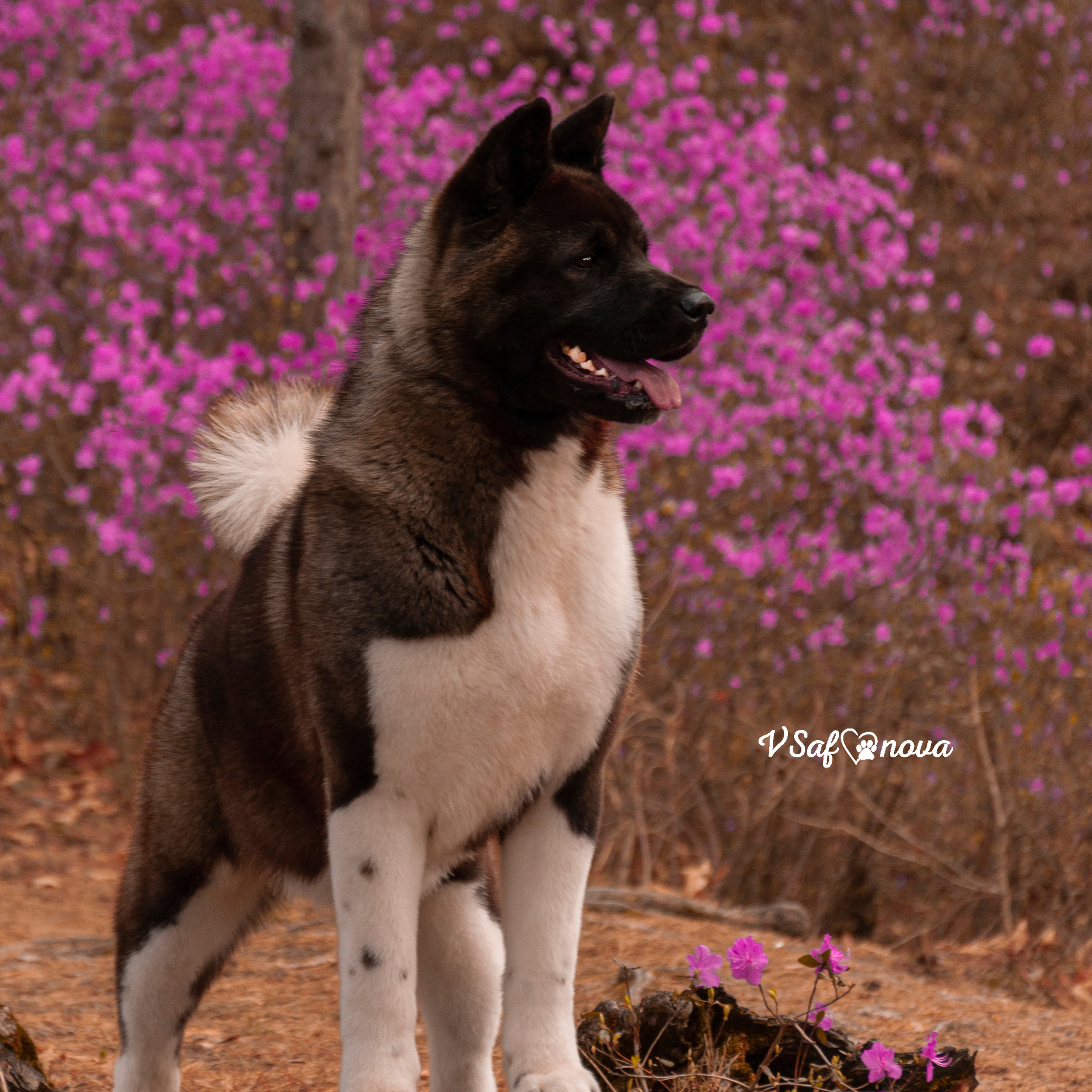 Аня и Дора 08.05.2021