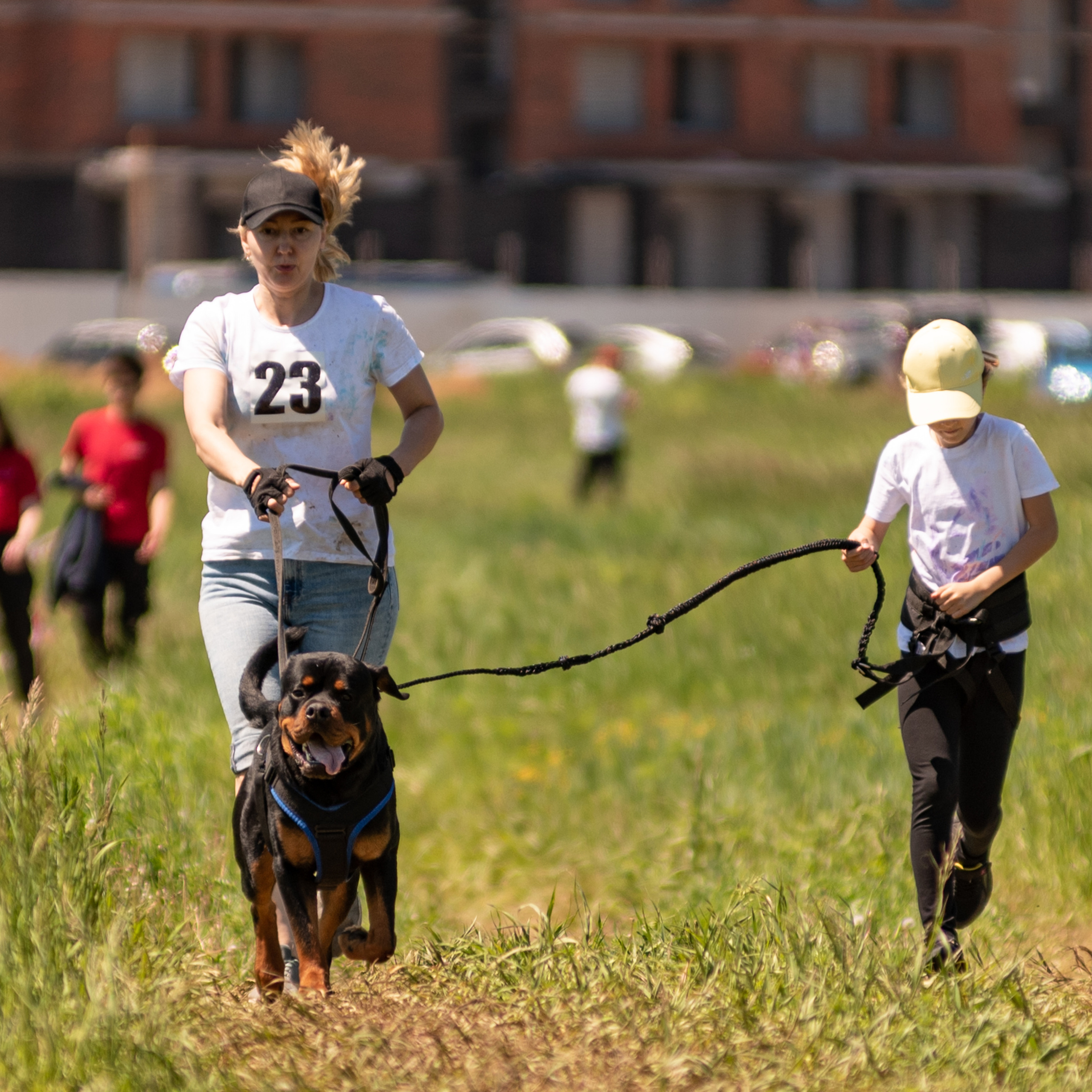 Отзывы. Фотограф анималист Благовещенск. Сафонова Виктория