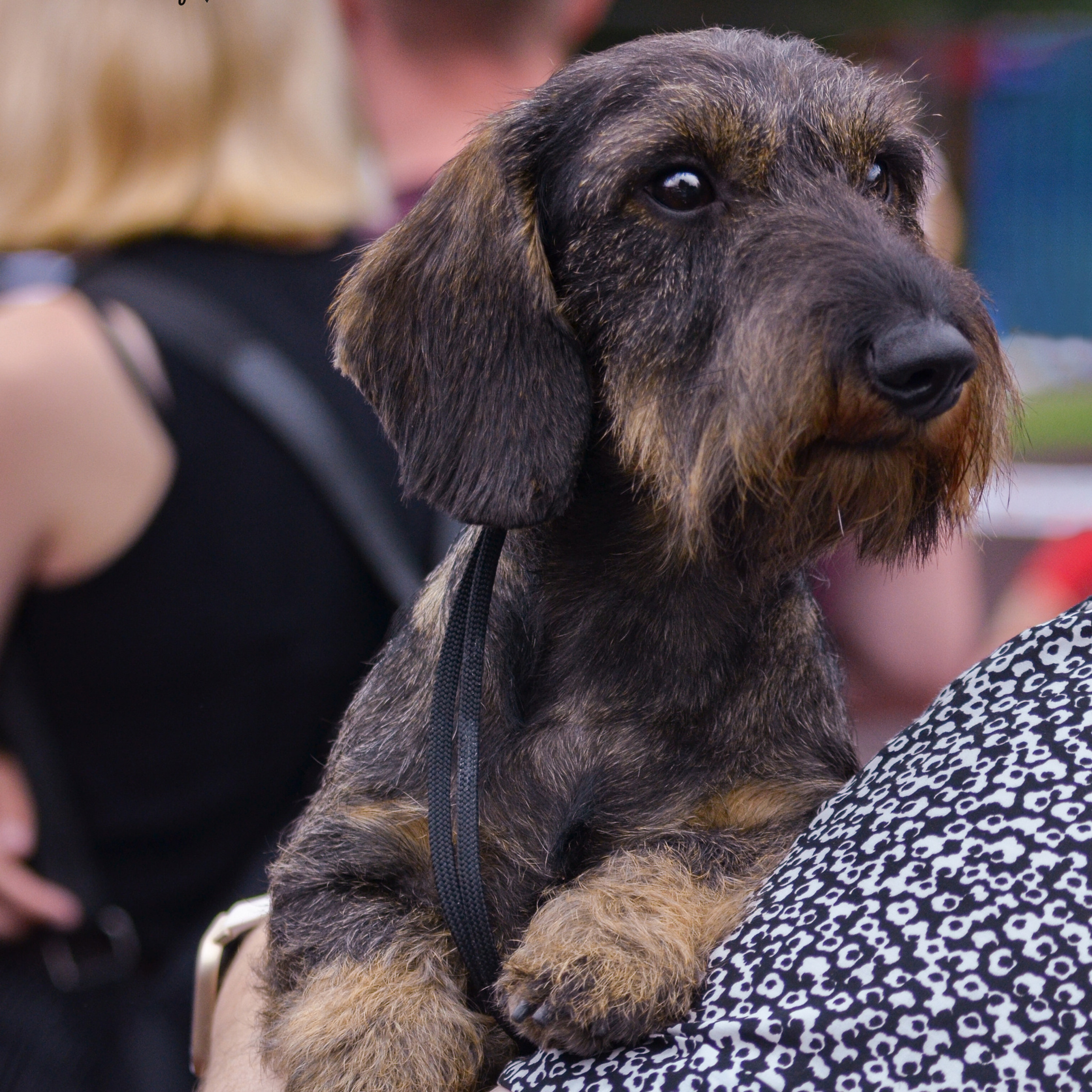 Отзывы. Фотограф анималист Благовещенск. Сафонова Виктория