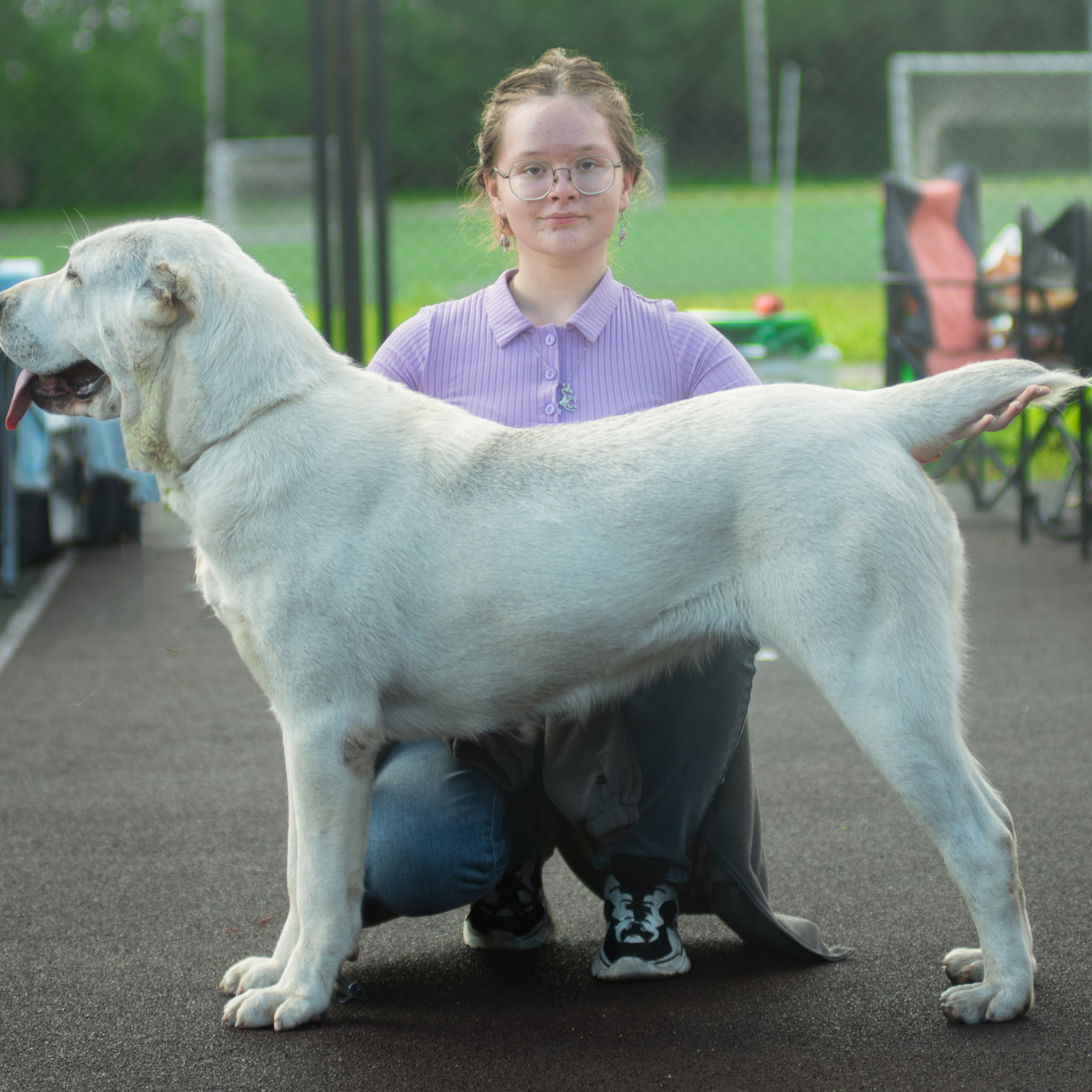 Отзывы. Фотограф анималист Благовещенск. Сафонова Виктория